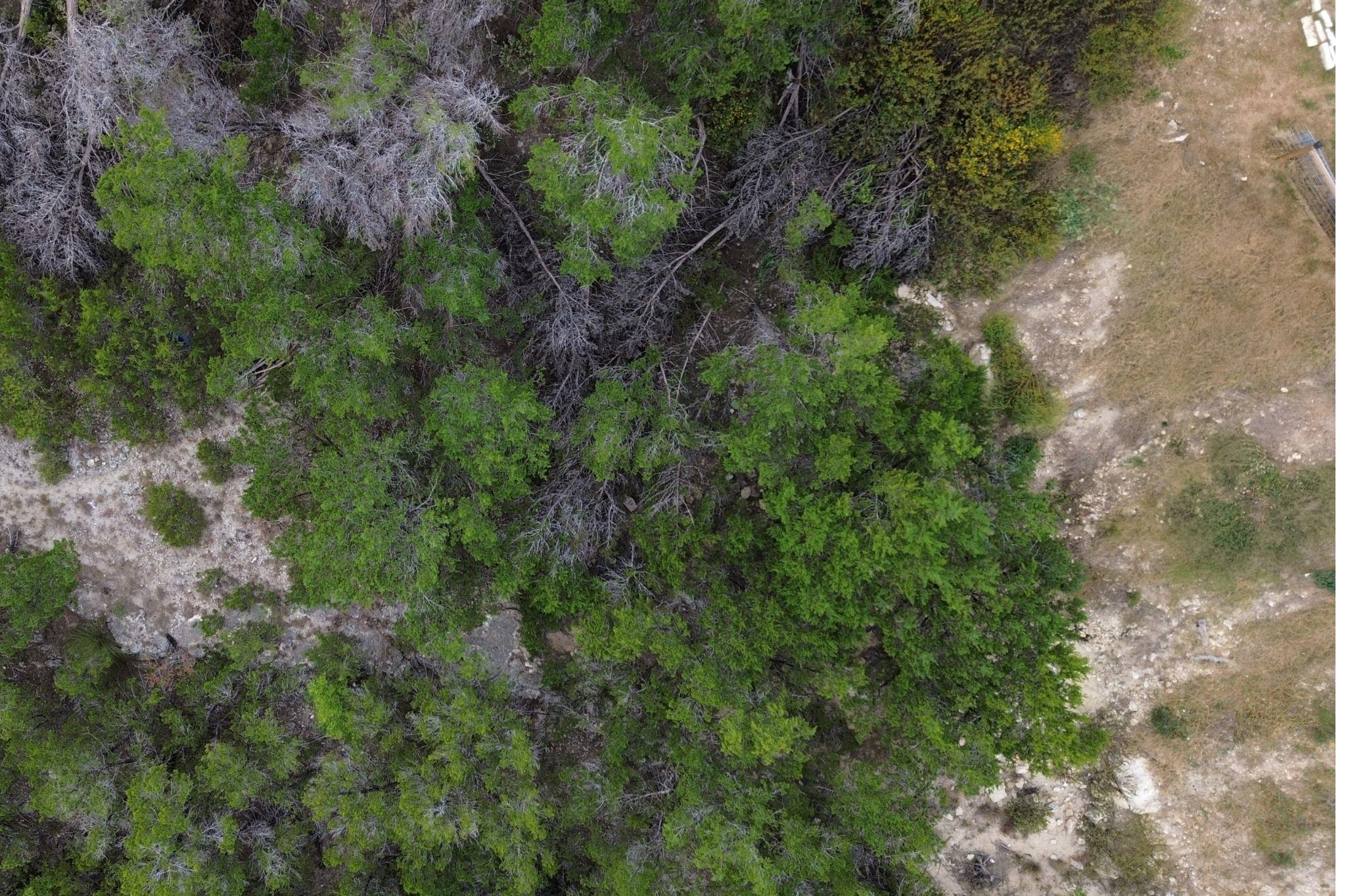 13912 Saskatchewan Dr, Austin, TX 78734