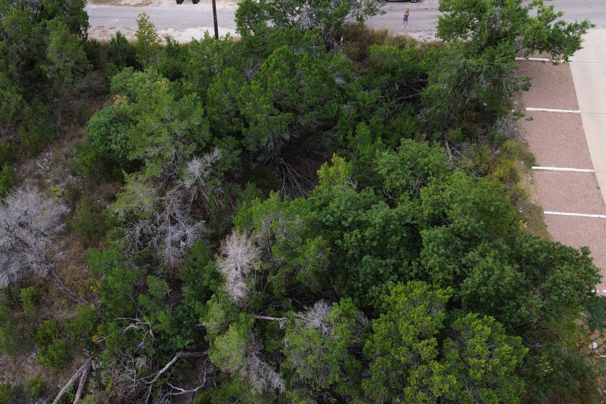 13912 Saskatchewan Dr, Austin, TX 78734