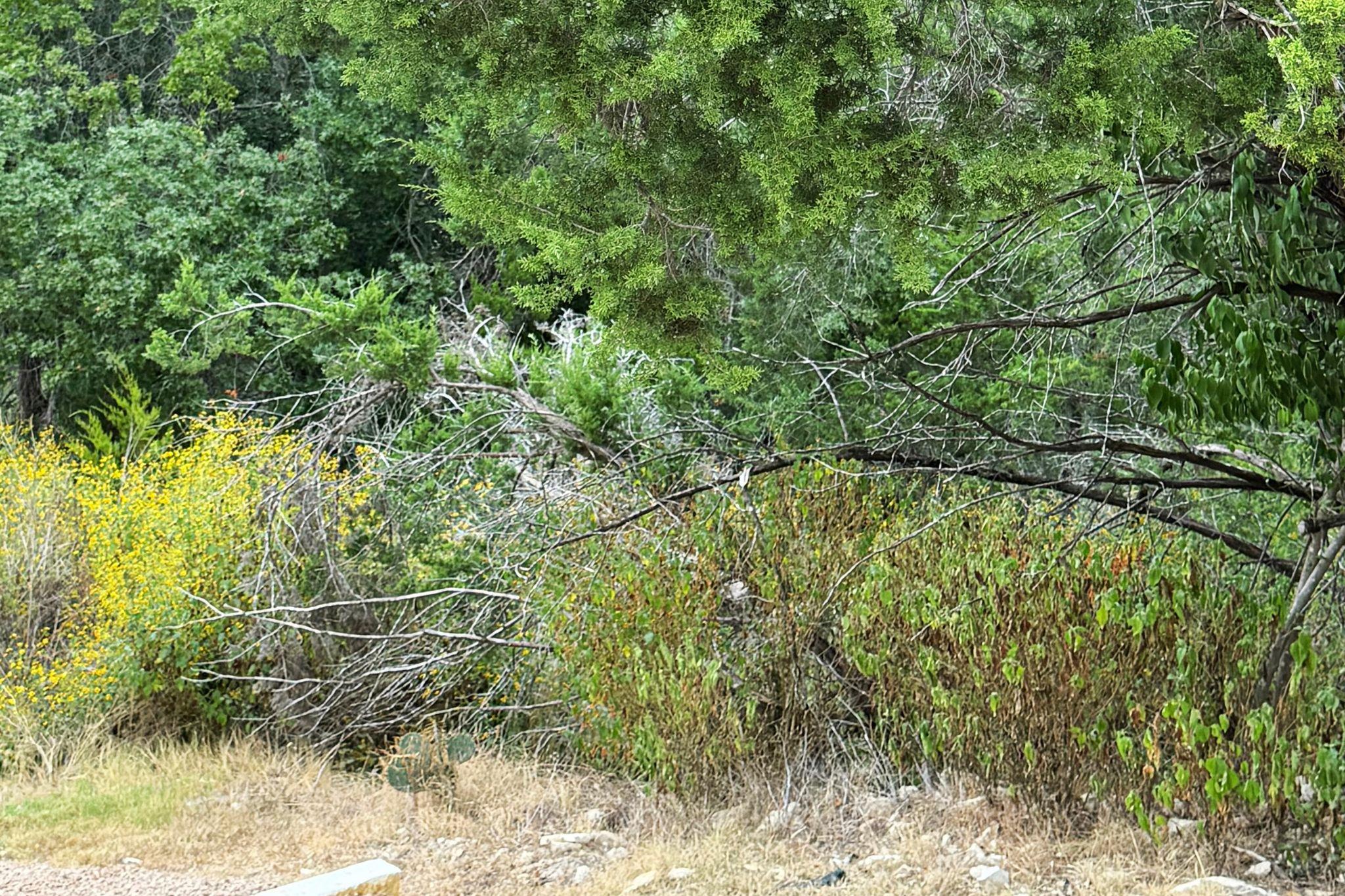 13912 Saskatchewan Dr, Austin, TX 78734