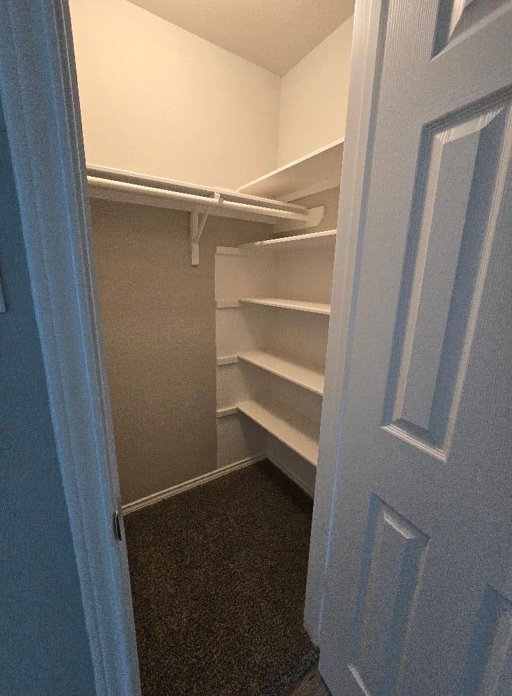 231 Winter St, Kyle, TX 78640