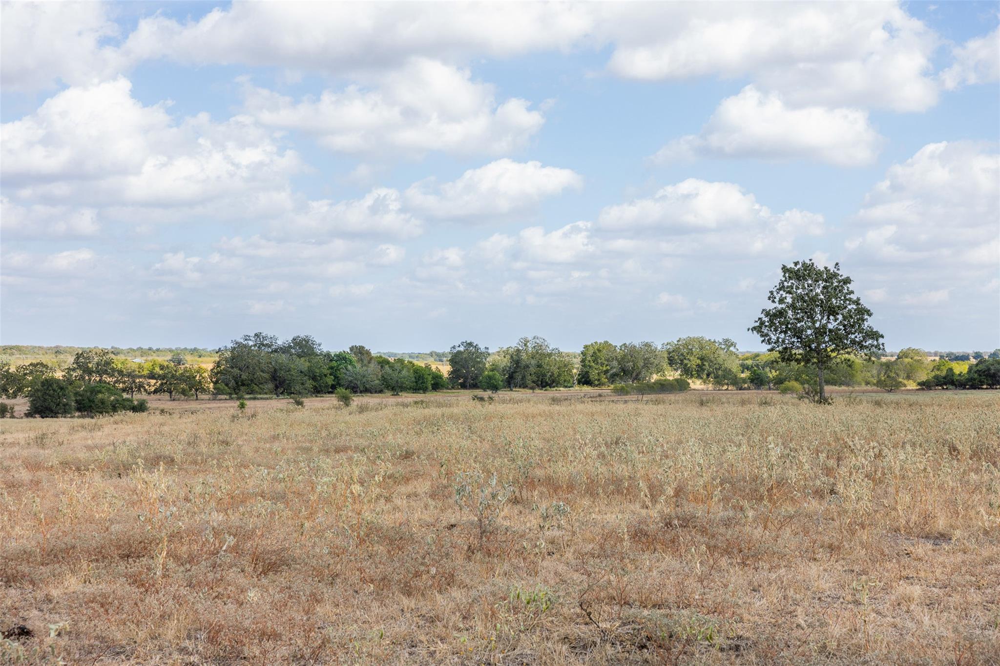 11915 FM 86, Lockhart, TX 78644