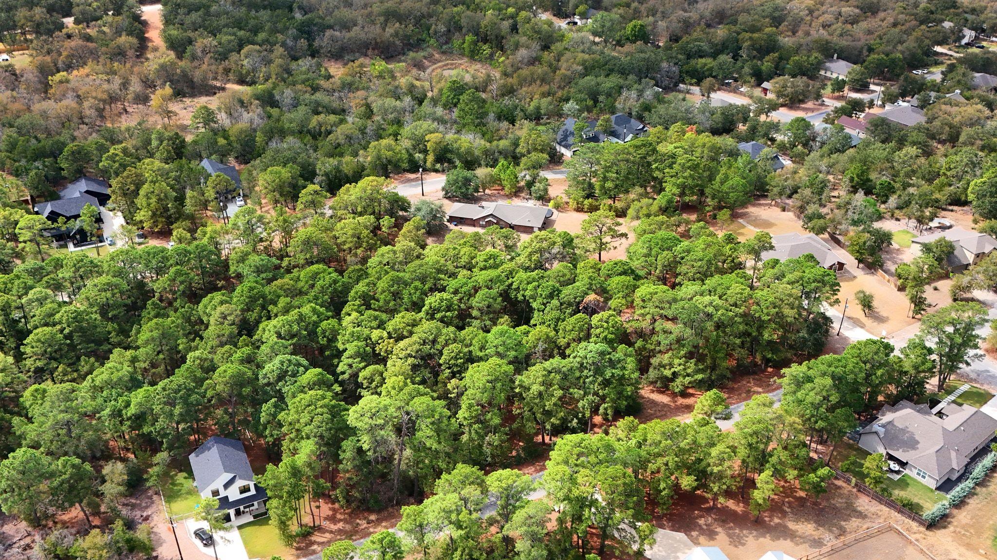 133 & 135 E Keanahalululu Ln, Bastrop, TX 78602