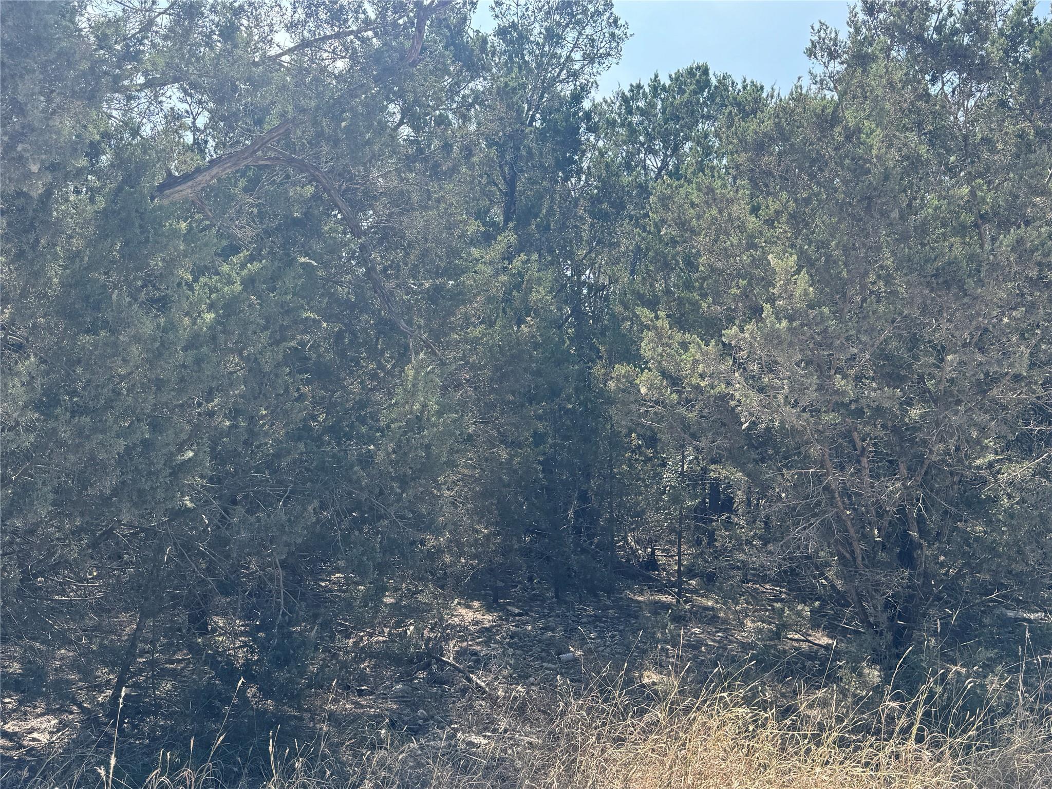 TBD Cr 304 Rd, Bertram, TX 78605