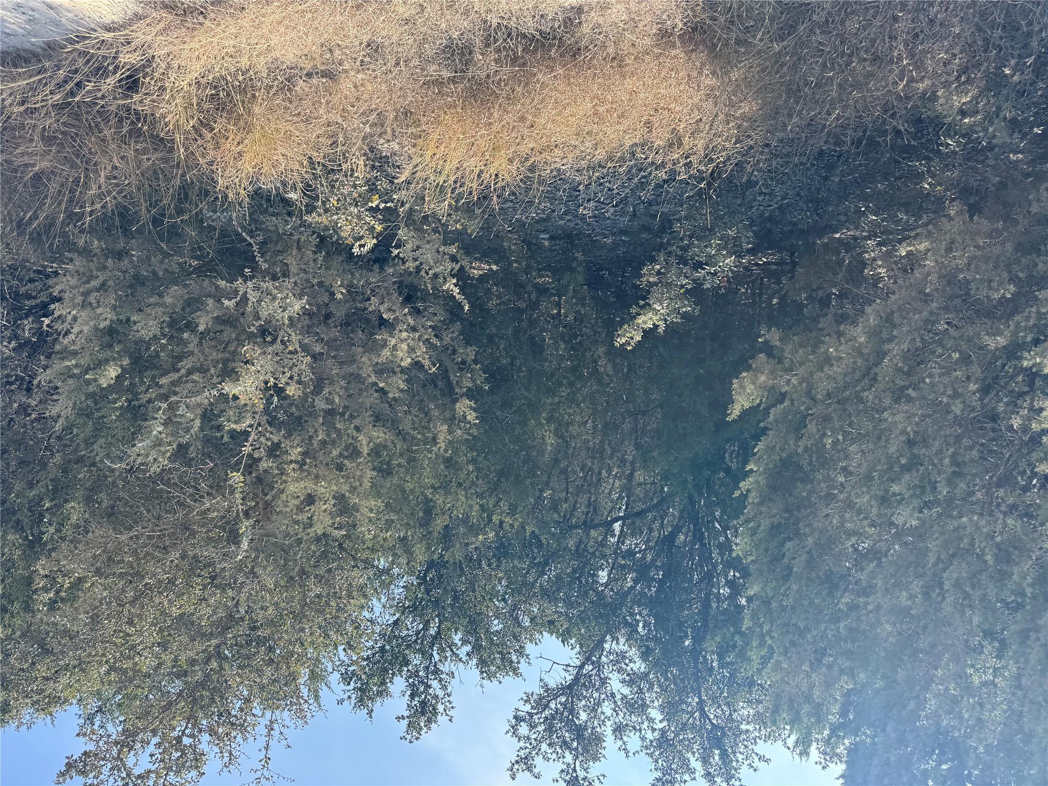 TBD Cr 304 Rd, Bertram, TX 78605