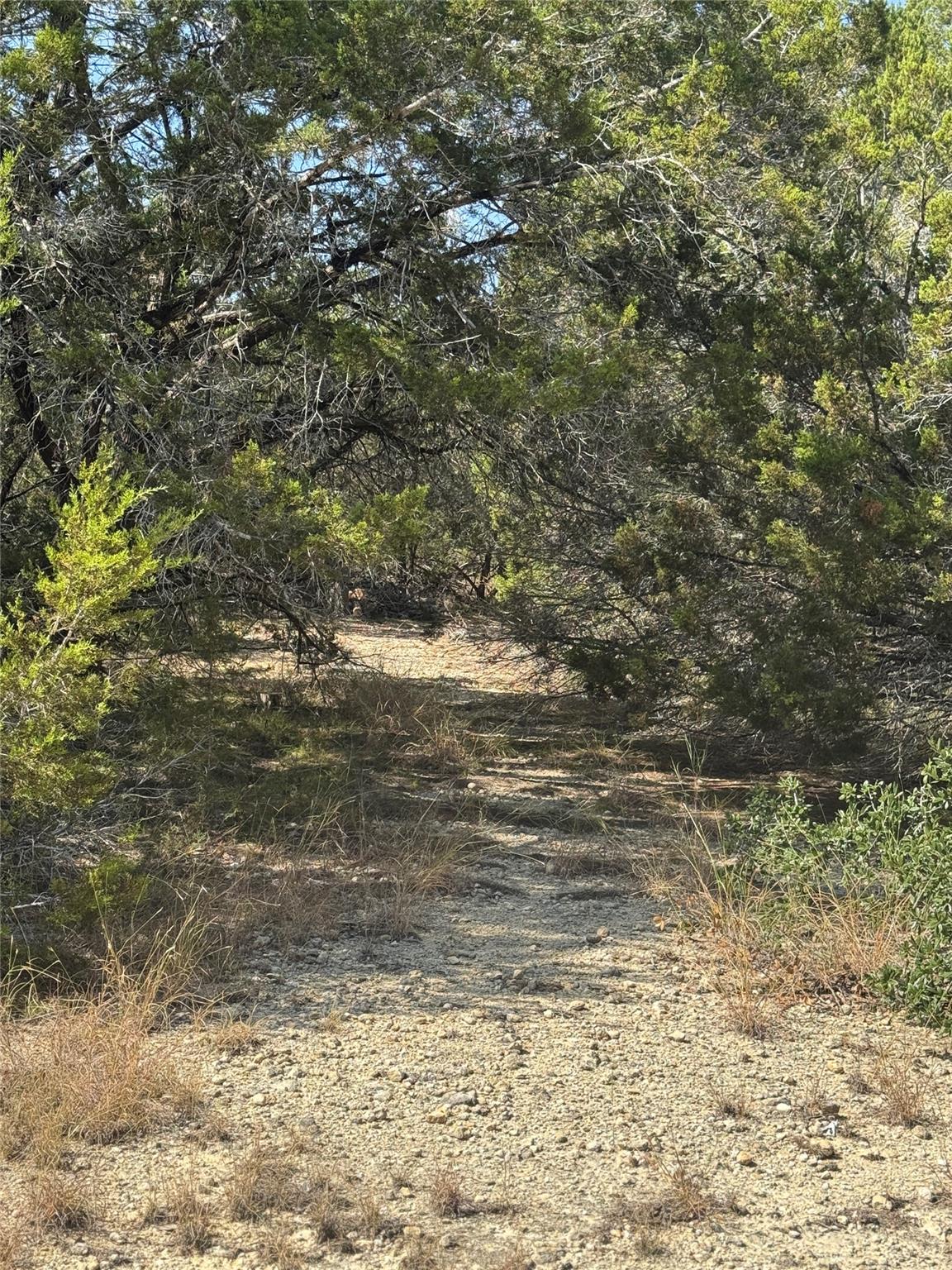 TBD Cr 304 Rd, Bertram, TX 78605