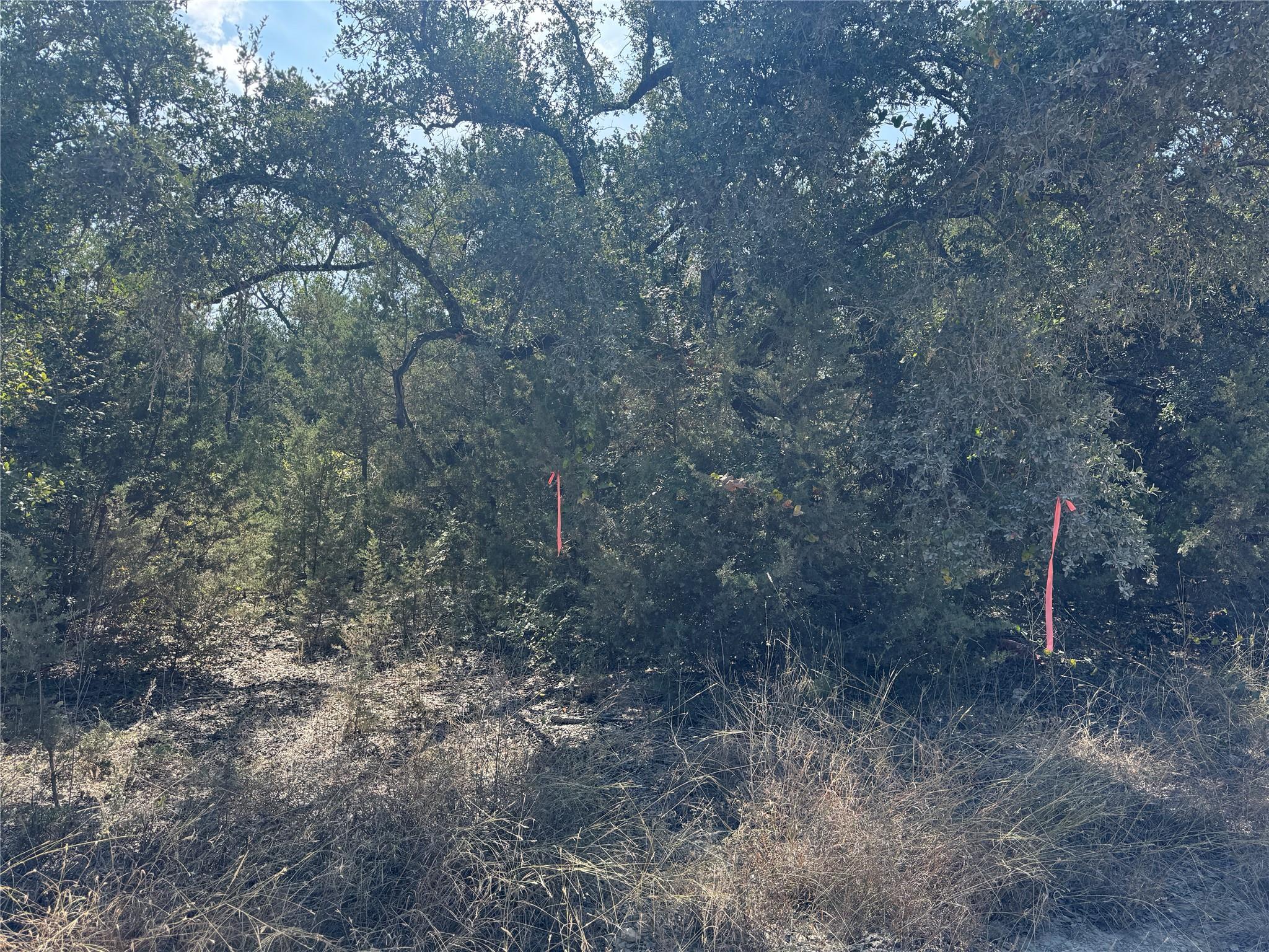 TBD Cr 304 Rd, Bertram, TX 78605