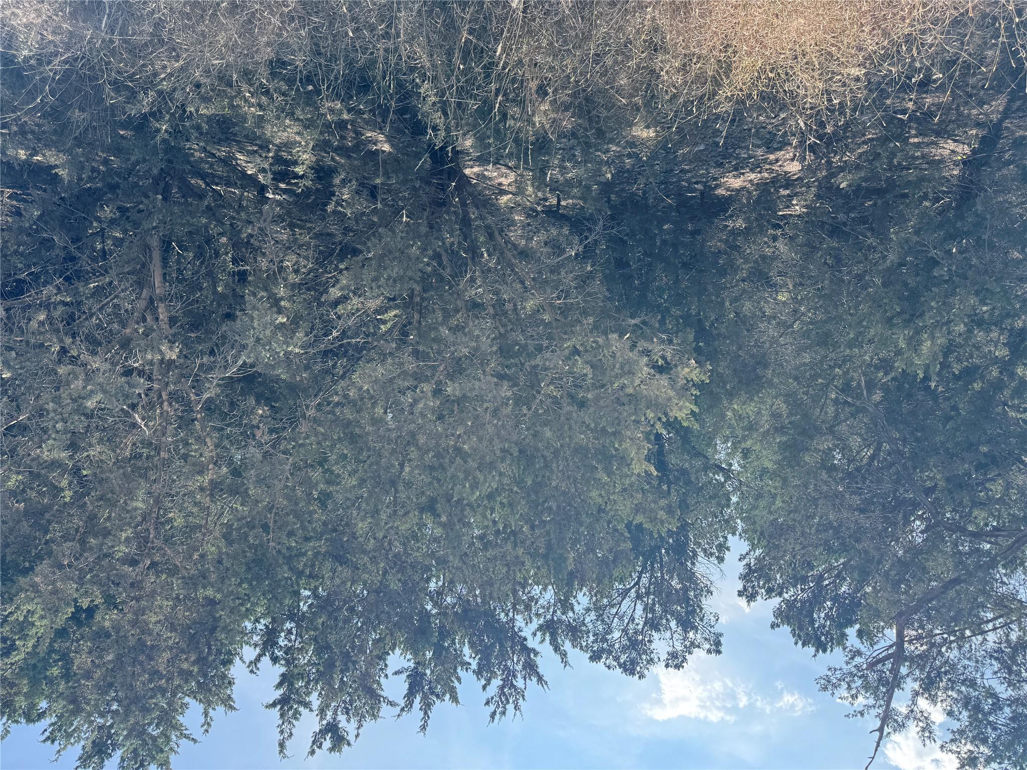 TBD Cr 304 Rd, Bertram, TX 78605