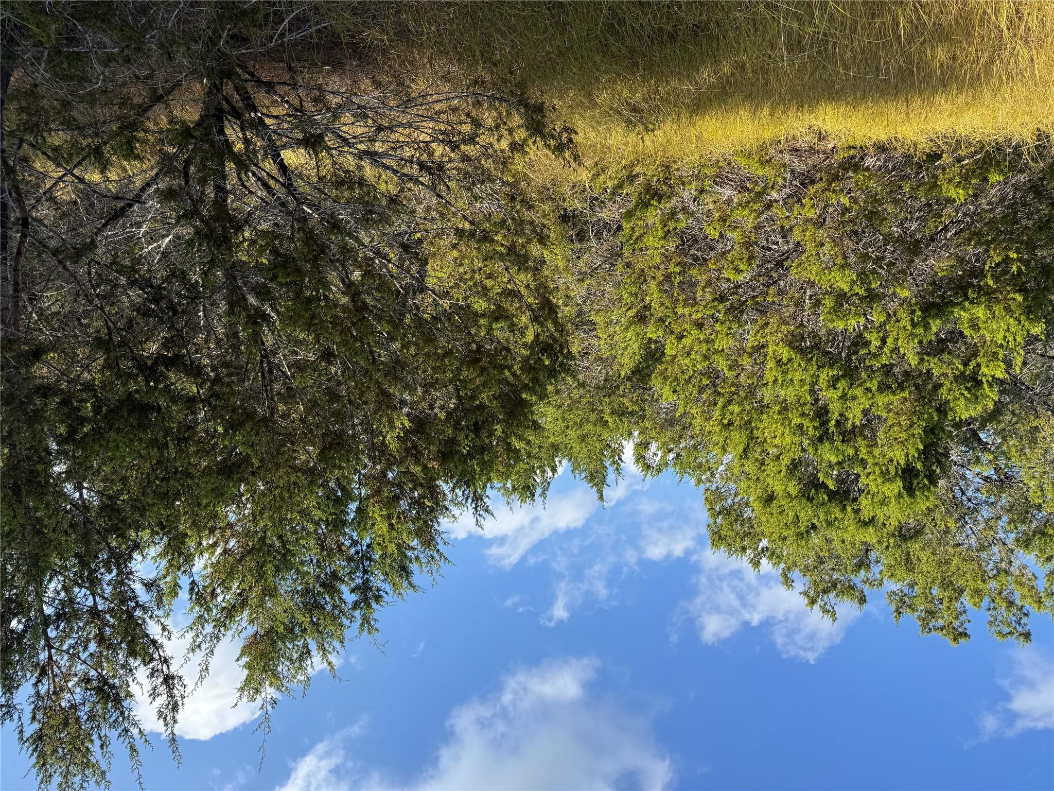 TBD Cr 304 Rd, Bertram, TX 78605