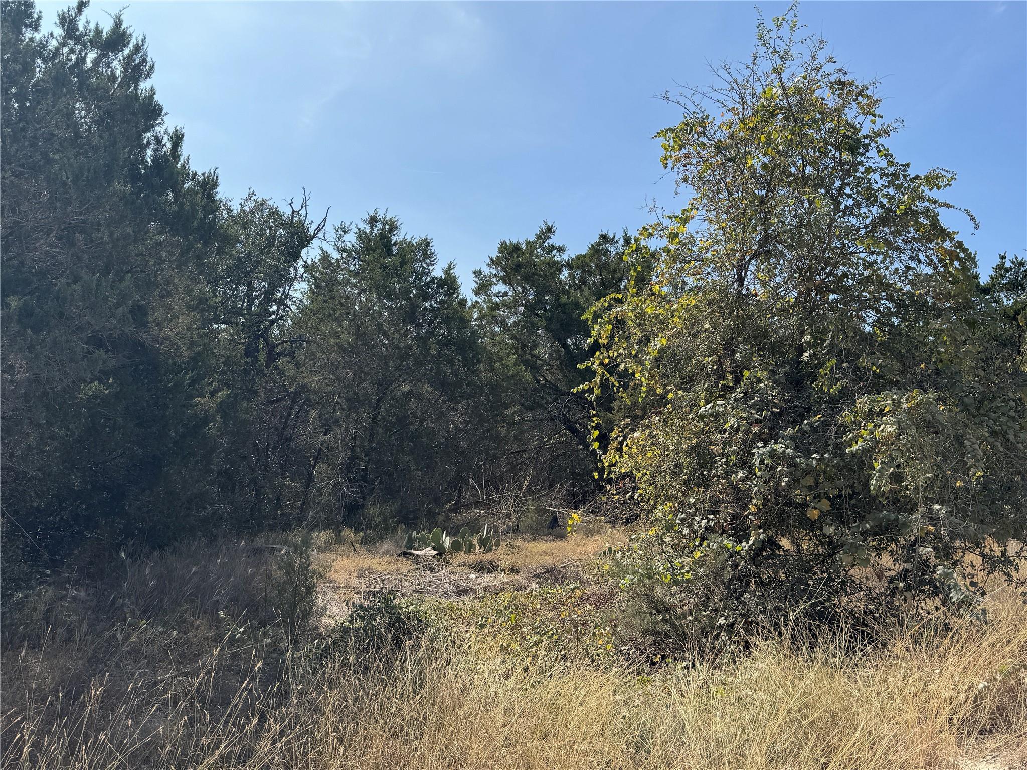 TBD Cr 304 Rd, Bertram, TX 78605