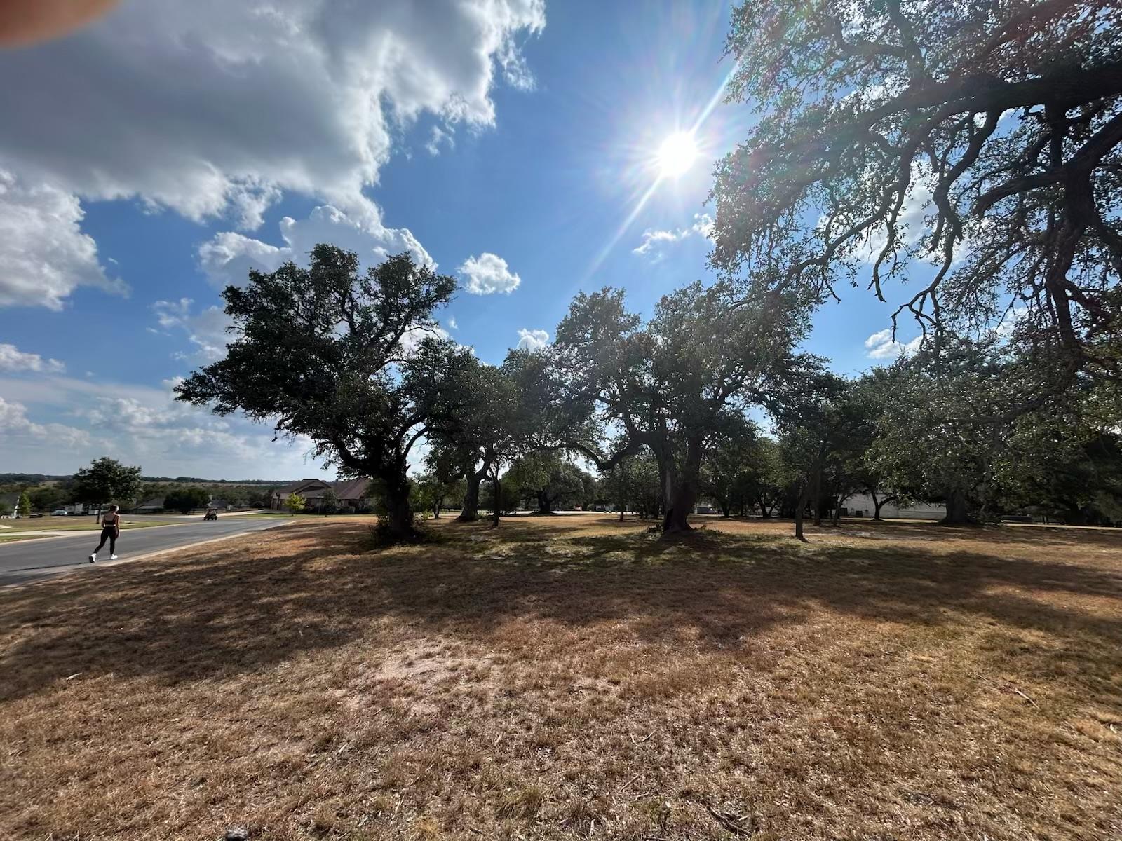 100 Green Branch Ct, Liberty Hill, TX 78642