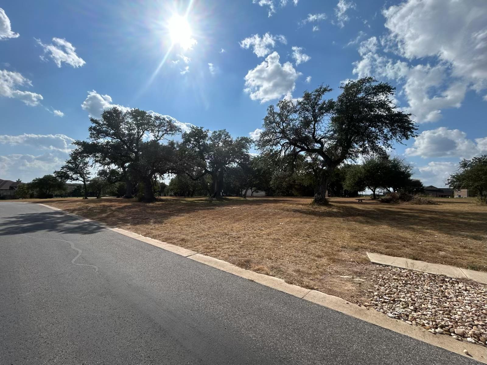 100 Green Branch Ct, Liberty Hill, TX 78642