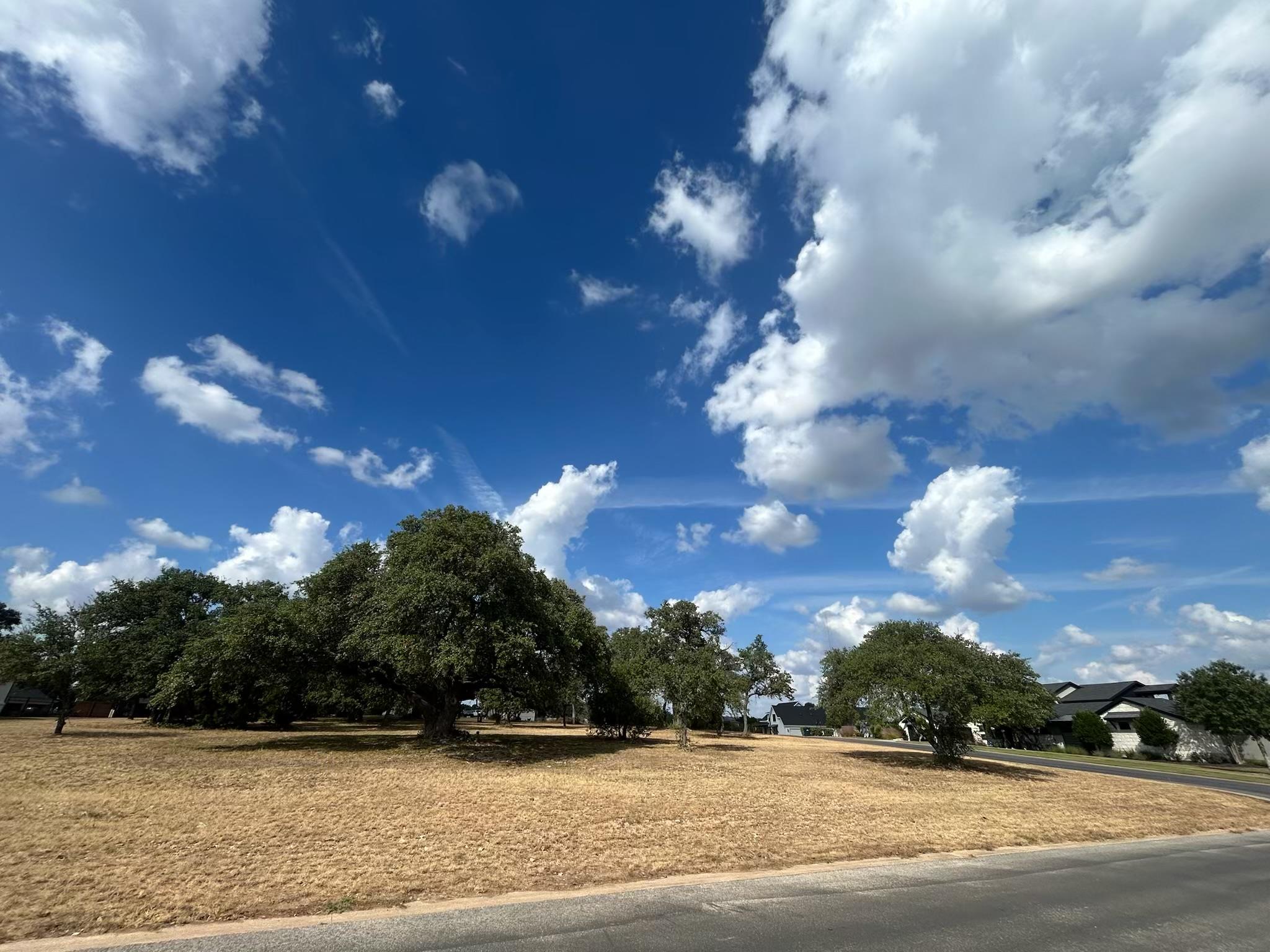 100 Green Branch Ct, Liberty Hill, TX 78642