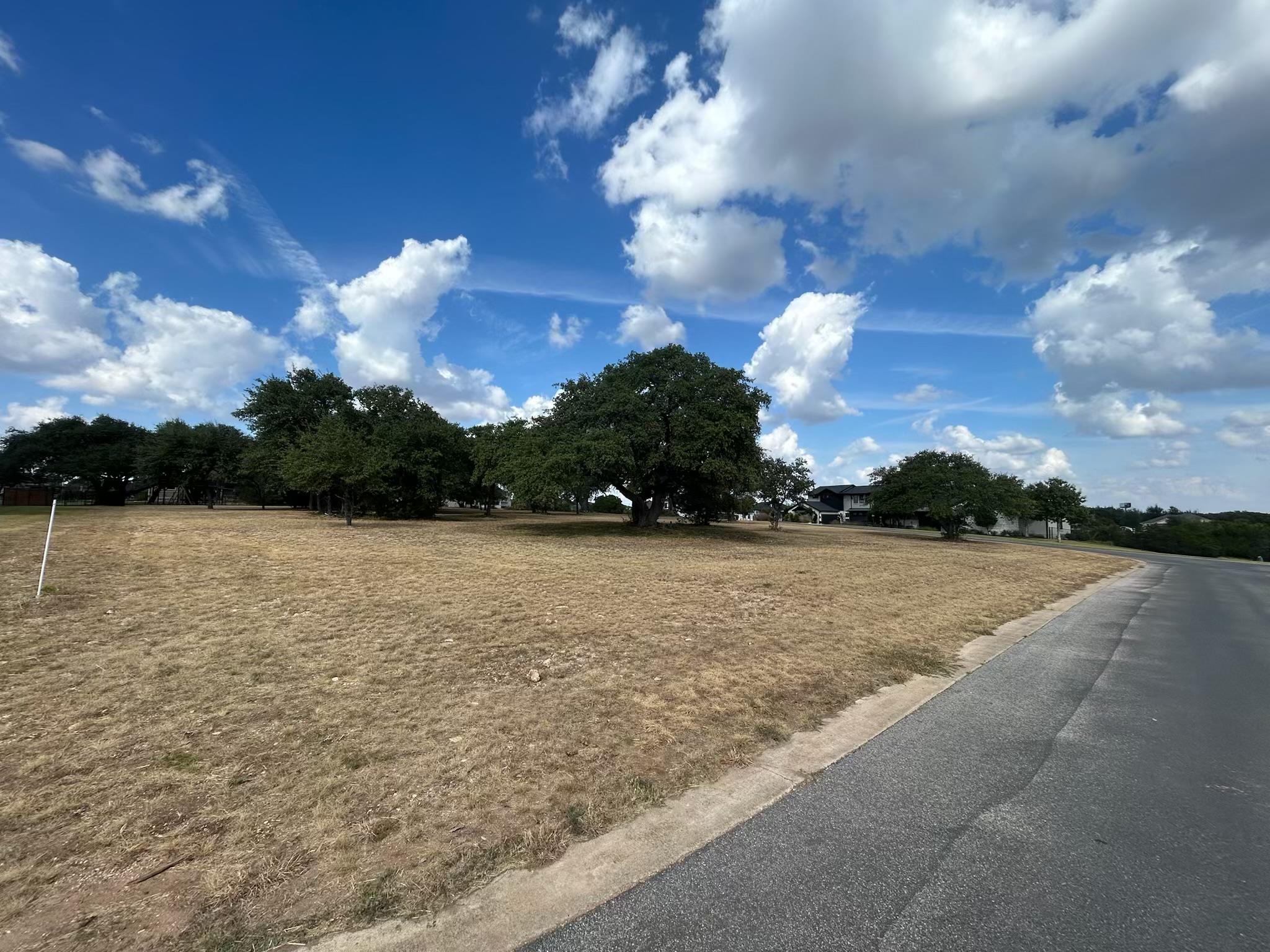 100 Green Branch Ct, Liberty Hill, TX 78642