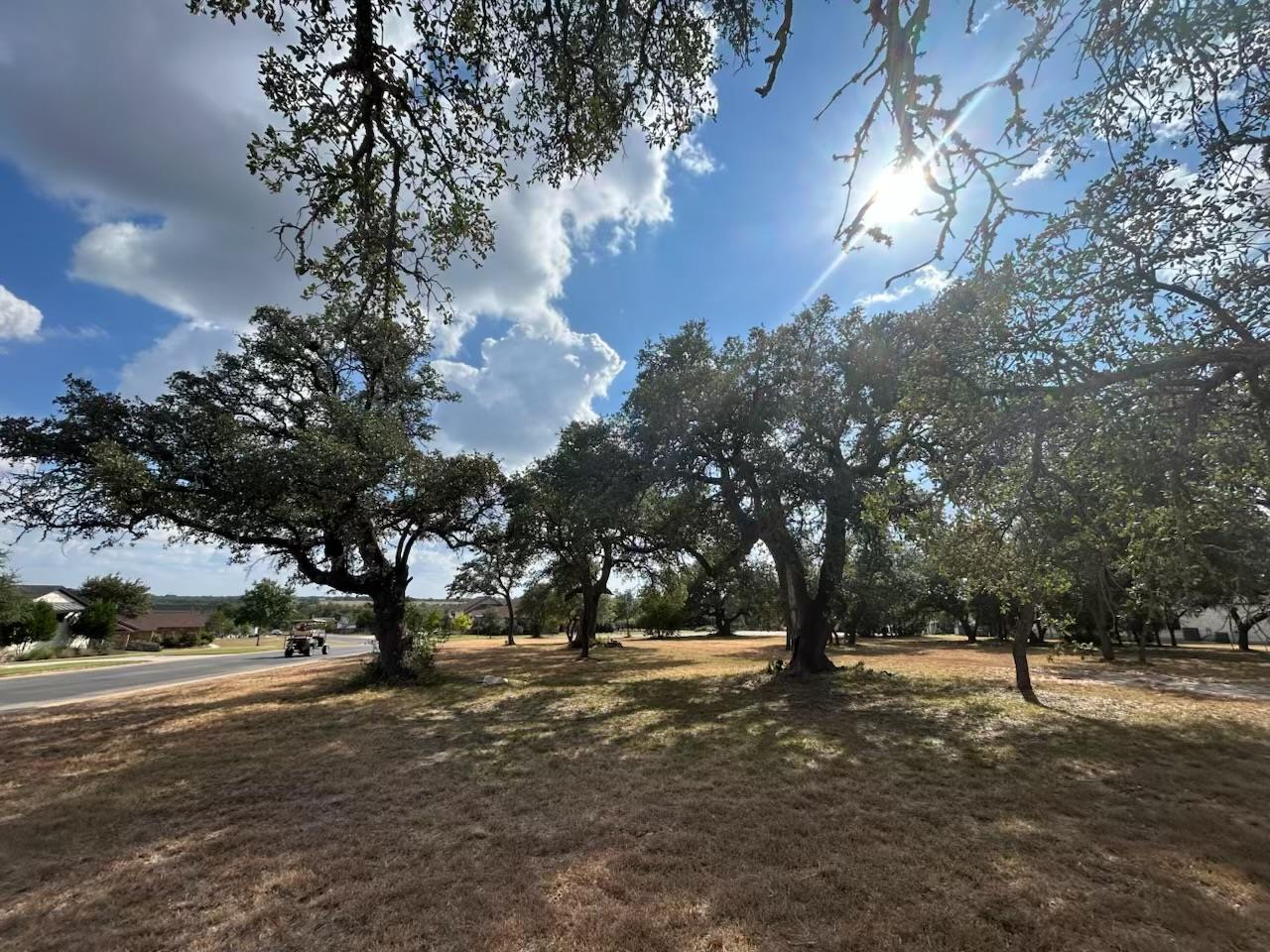 100 Green Branch Ct, Liberty Hill, TX 78642