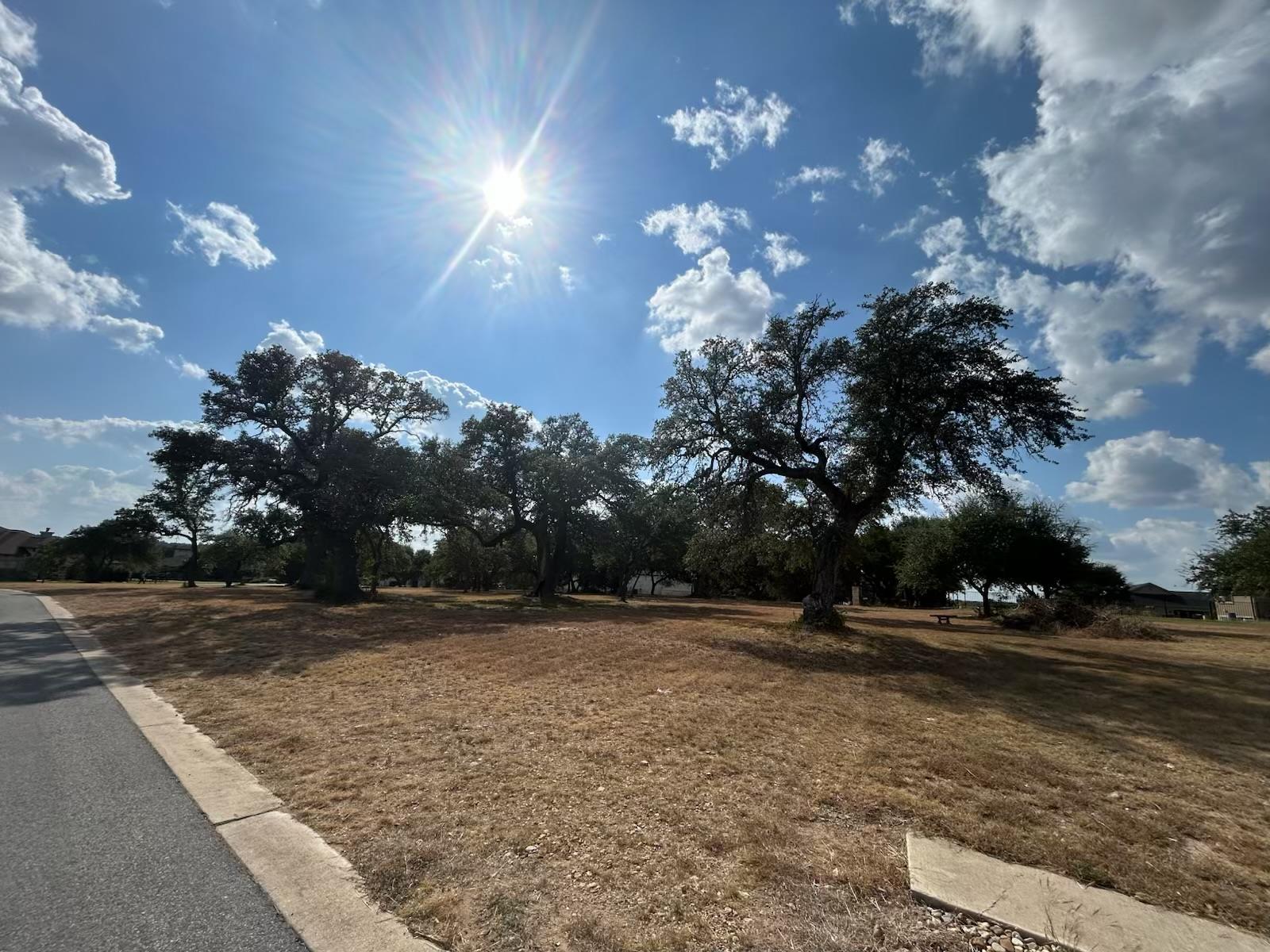 100 Green Branch Ct, Liberty Hill, TX 78642