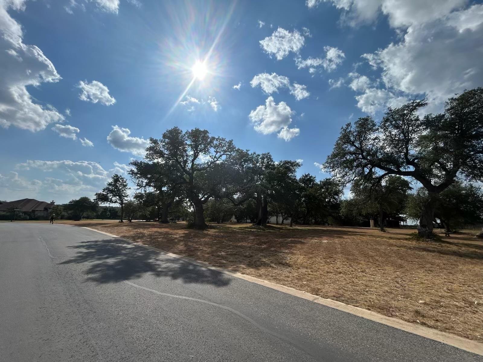 100 Green Branch Ct, Liberty Hill, TX 78642