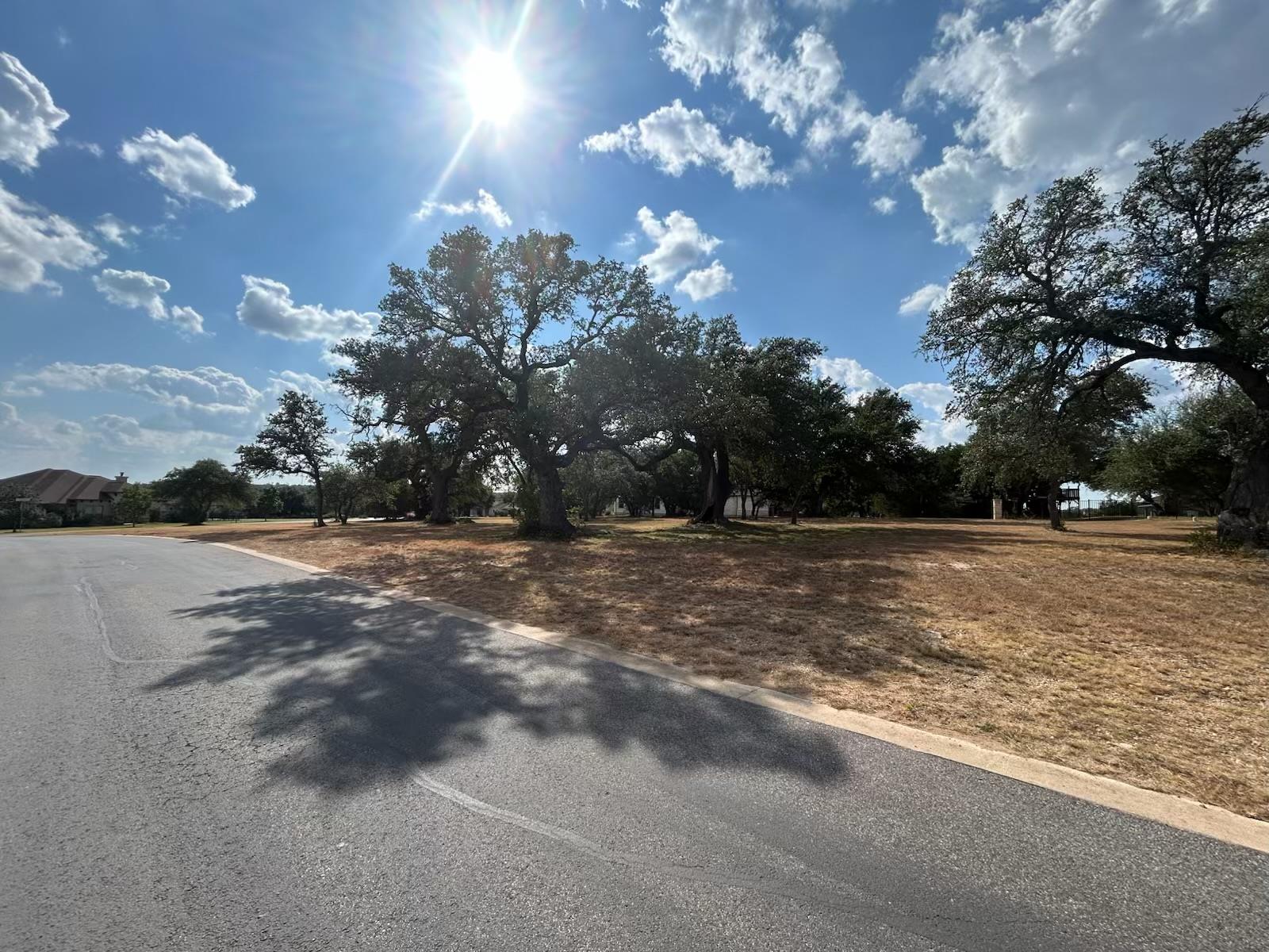 100 Green Branch Ct, Liberty Hill, TX 78642