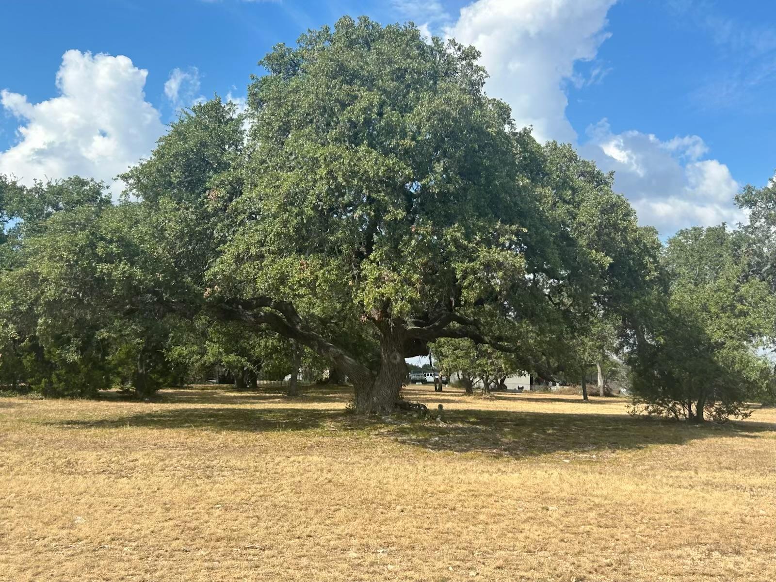 100 Green Branch Ct, Liberty Hill, TX 78642