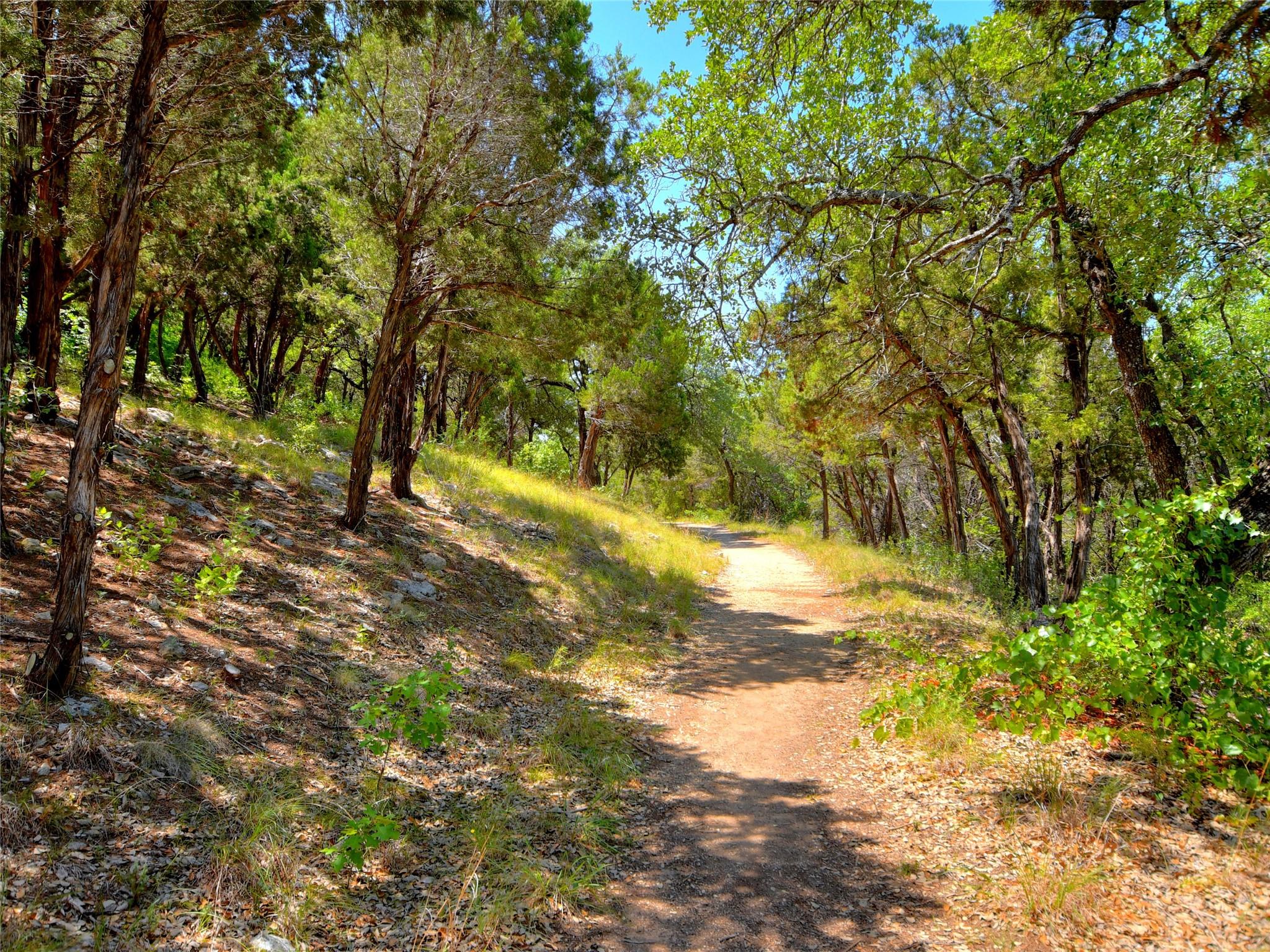 11524 Emerald Falls Dr, Austin, TX 78738