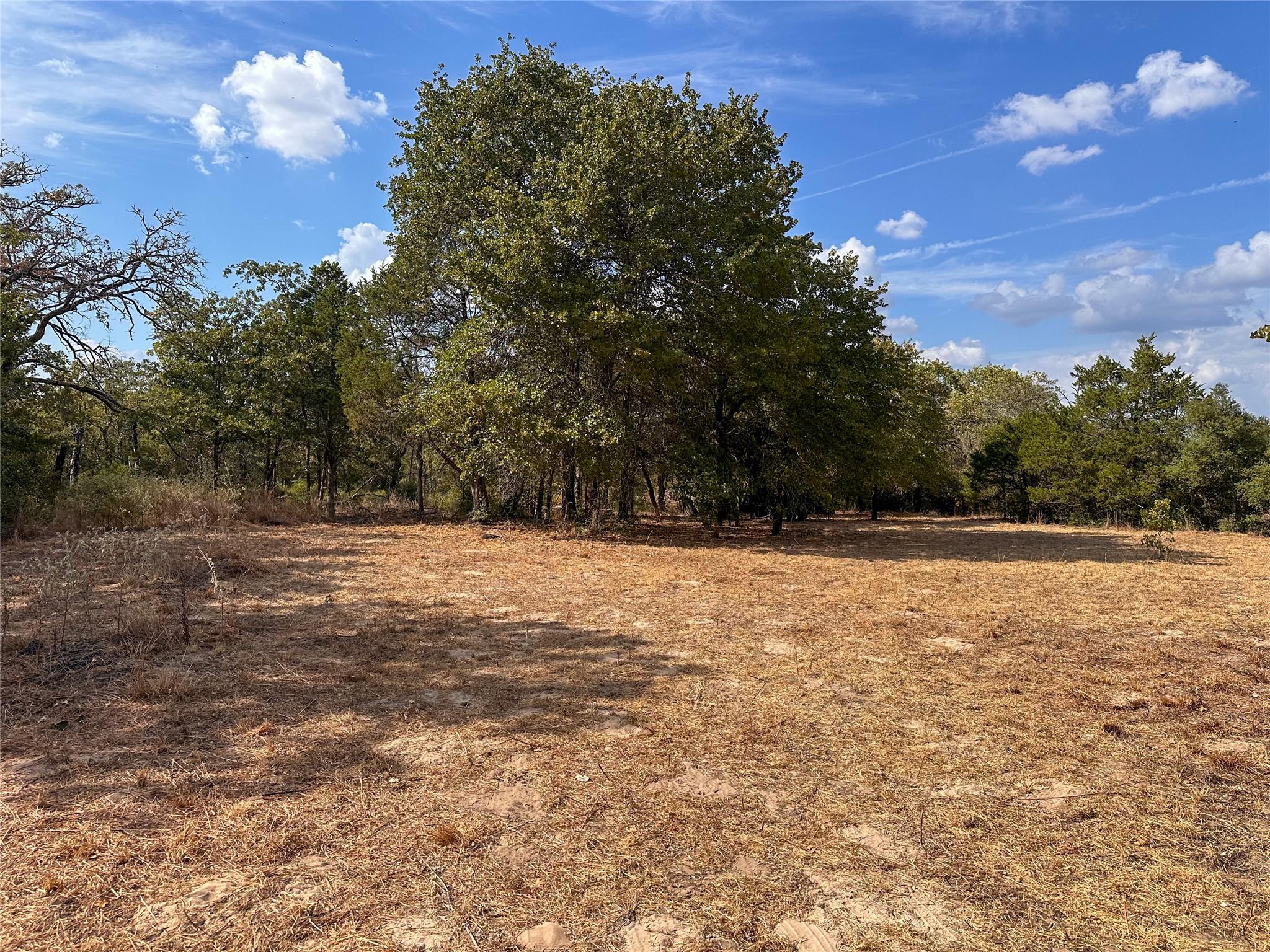TBD Walter Hoffman Rd, Bastrop, TX 78602