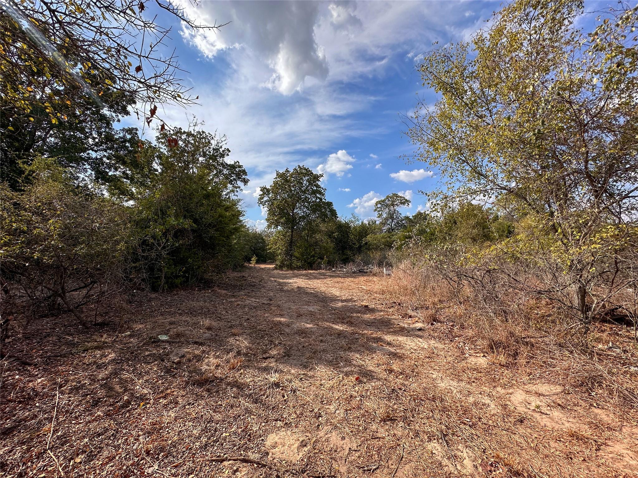 TBD Walter Hoffman Rd, Bastrop, TX 78602