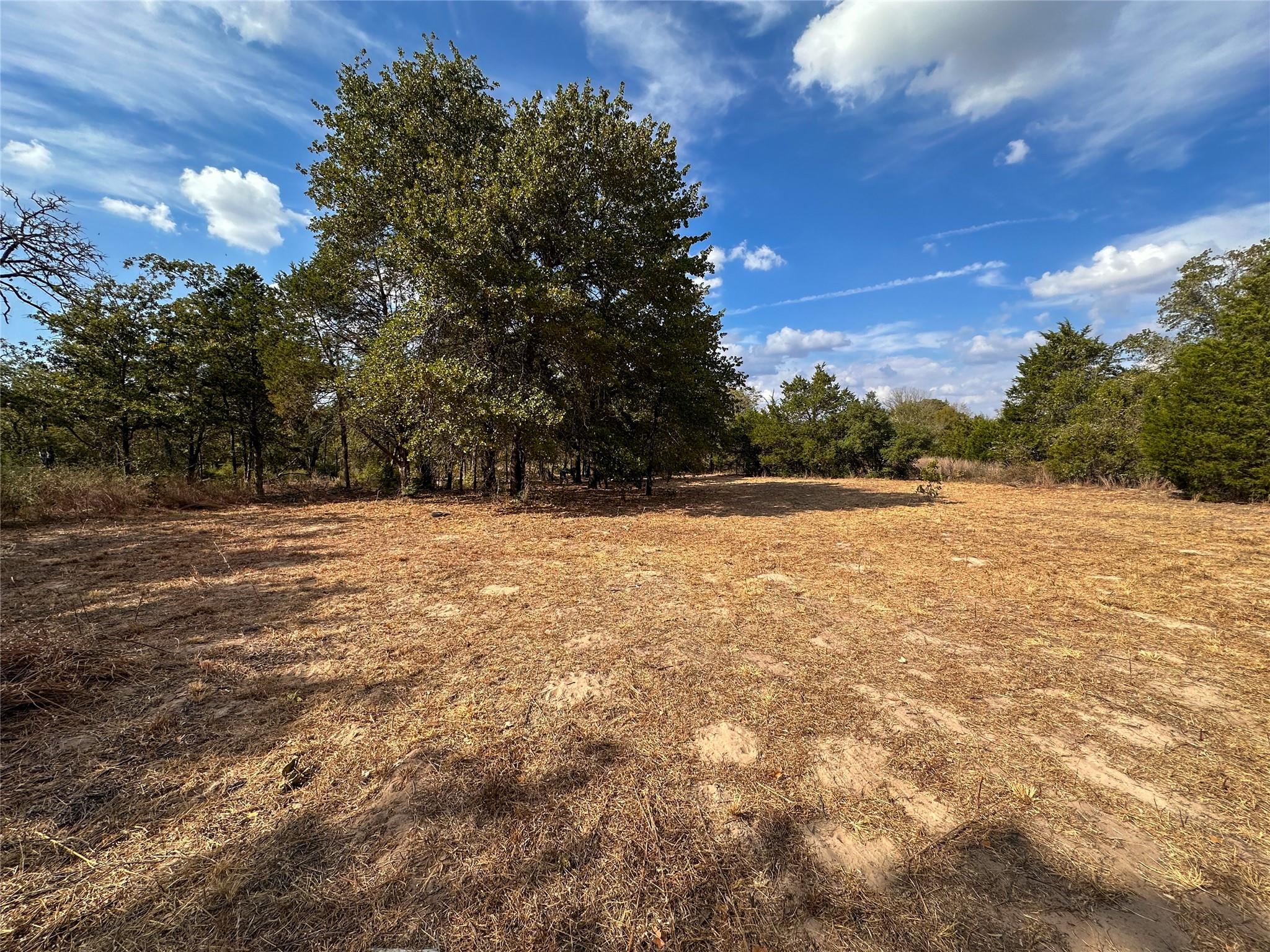 TBD Walter Hoffman Rd, Bastrop, TX 78602