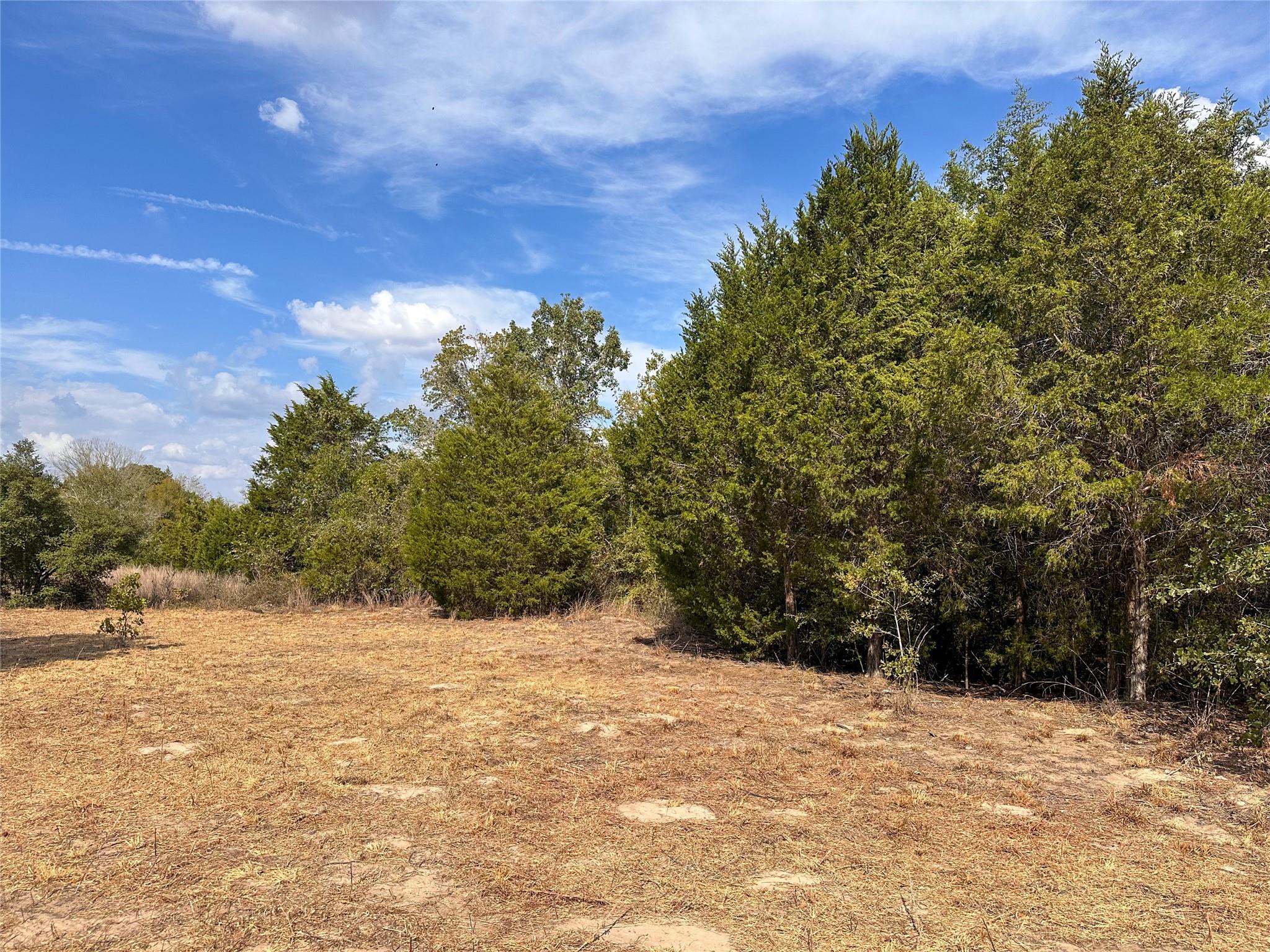 TBD Walter Hoffman Rd, Bastrop, TX 78602