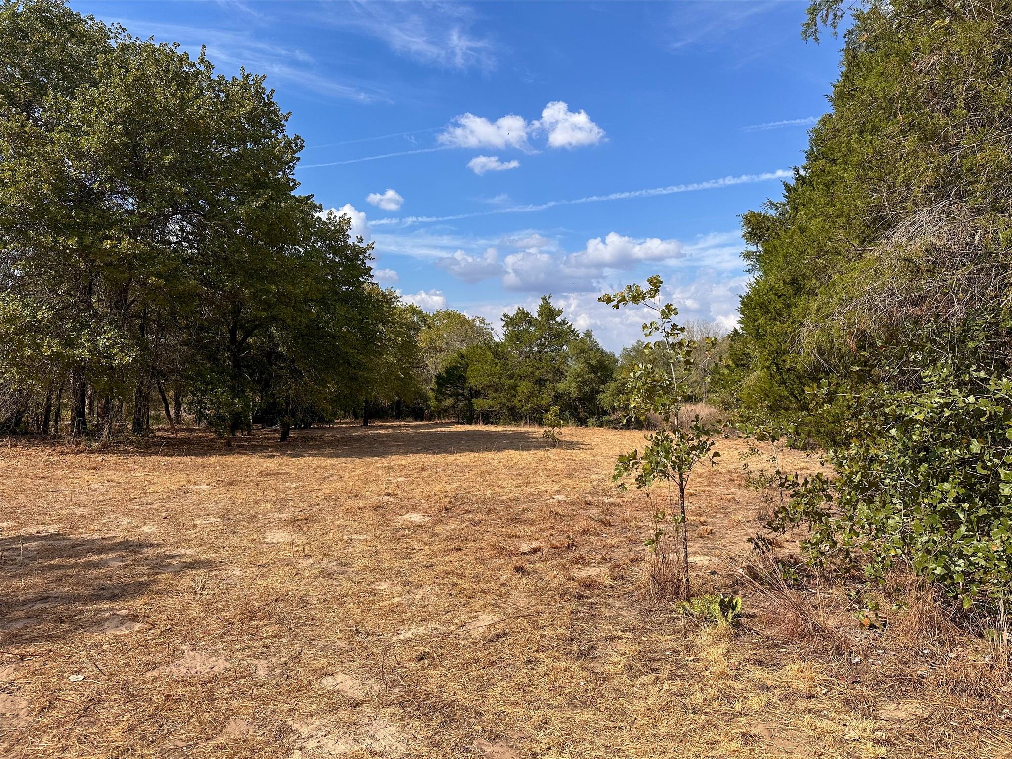 TBD Walter Hoffman Rd, Bastrop, TX 78602