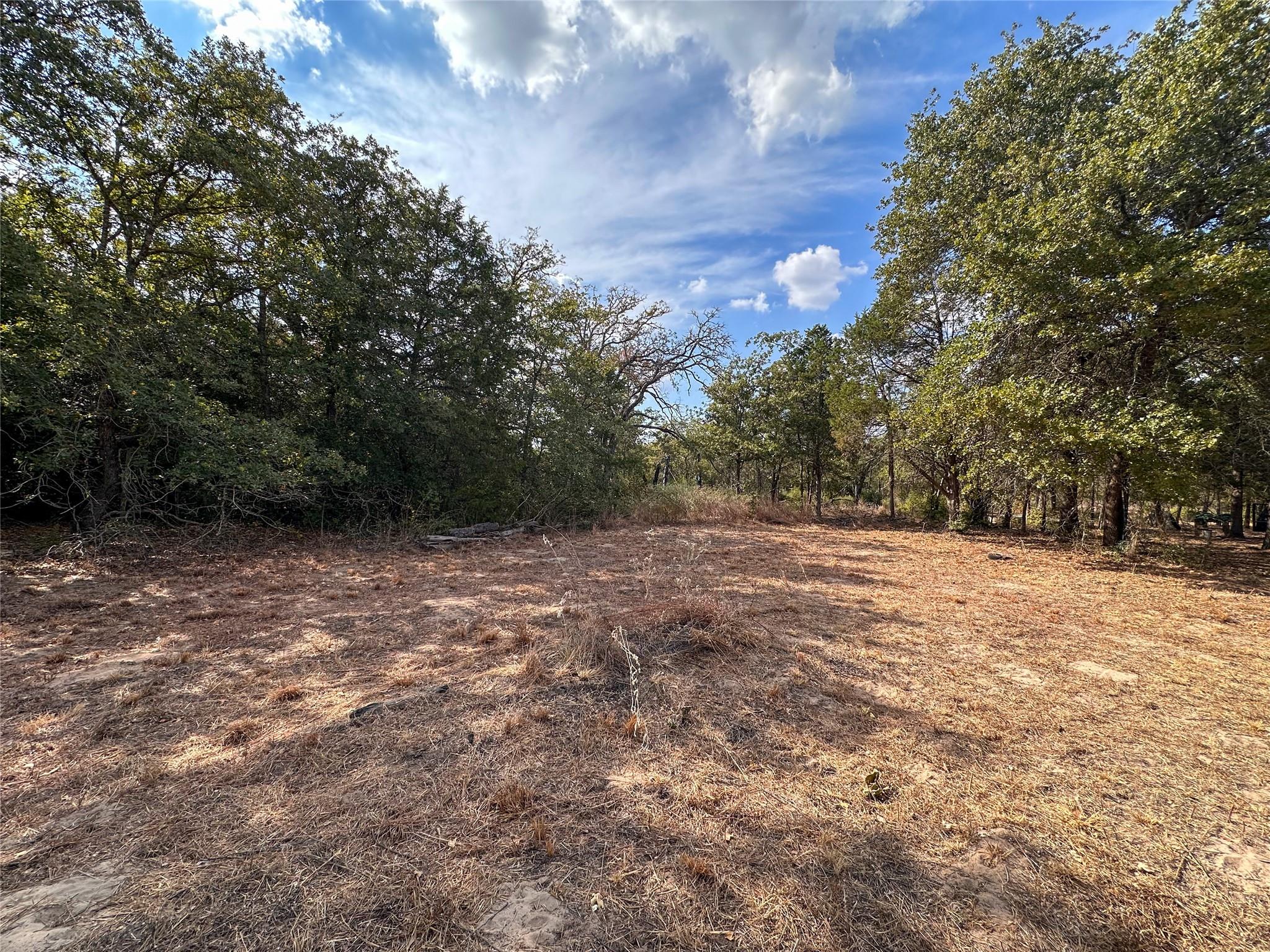 TBD Walter Hoffman Rd, Bastrop, TX 78602