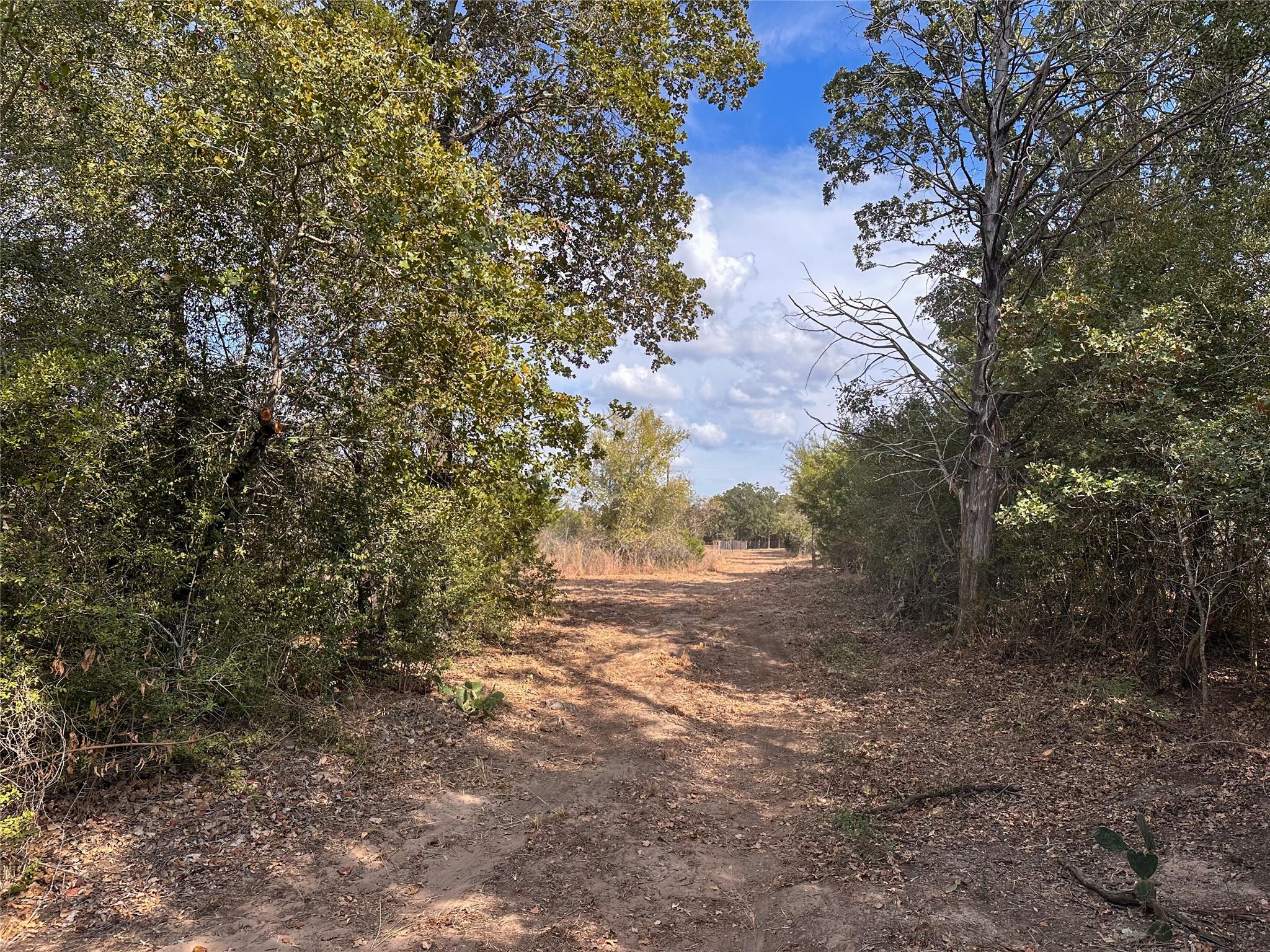 TBD Walter Hoffman Rd, Bastrop, TX 78602