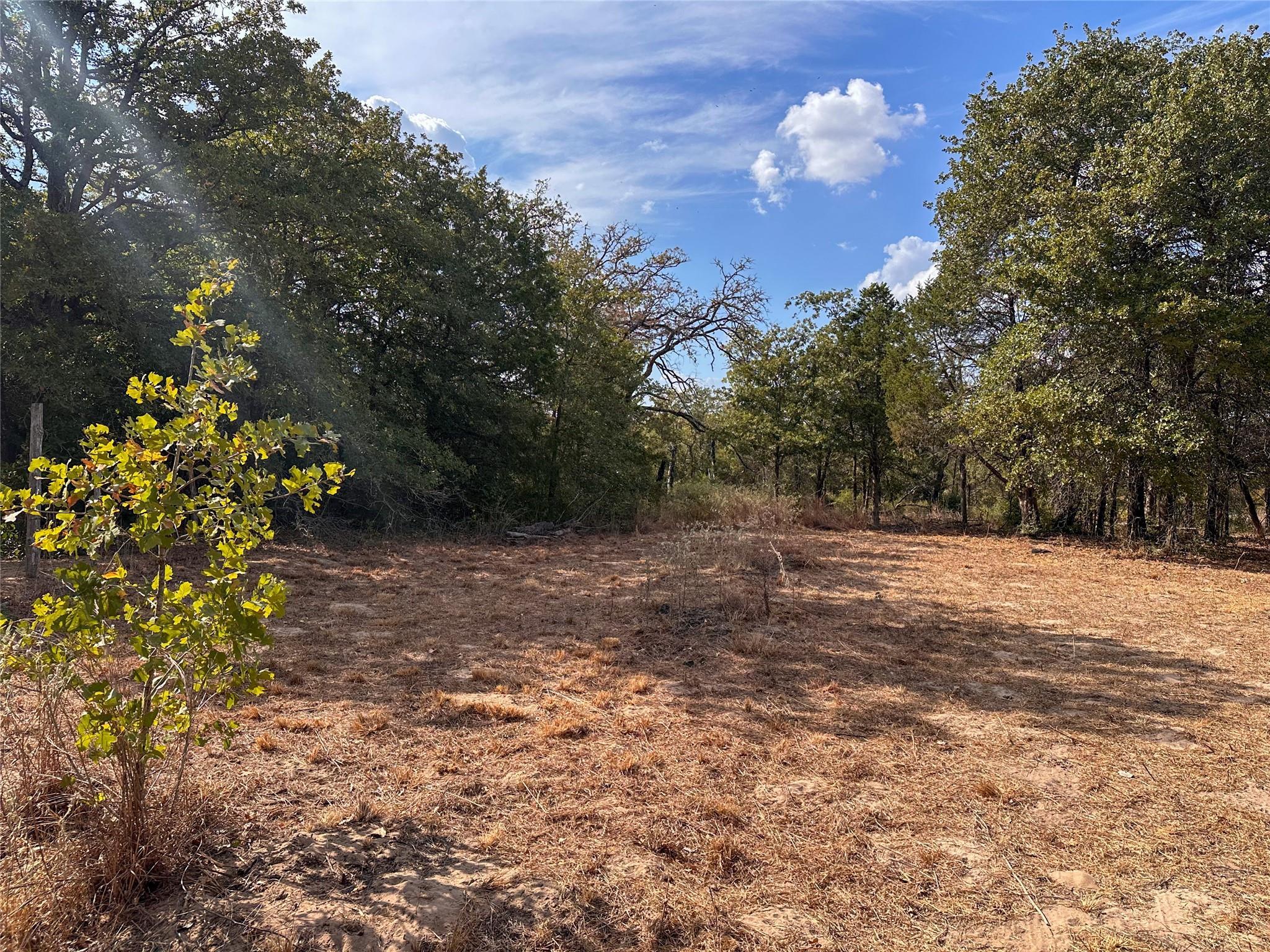 TBD Walter Hoffman Rd, Bastrop, TX 78602