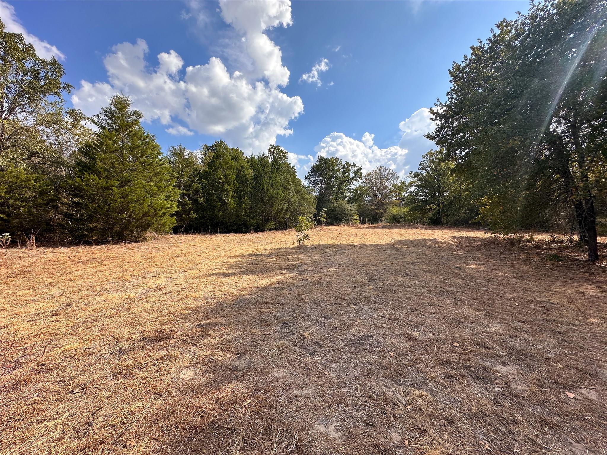 TBD Walter Hoffman Rd, Bastrop, TX 78602