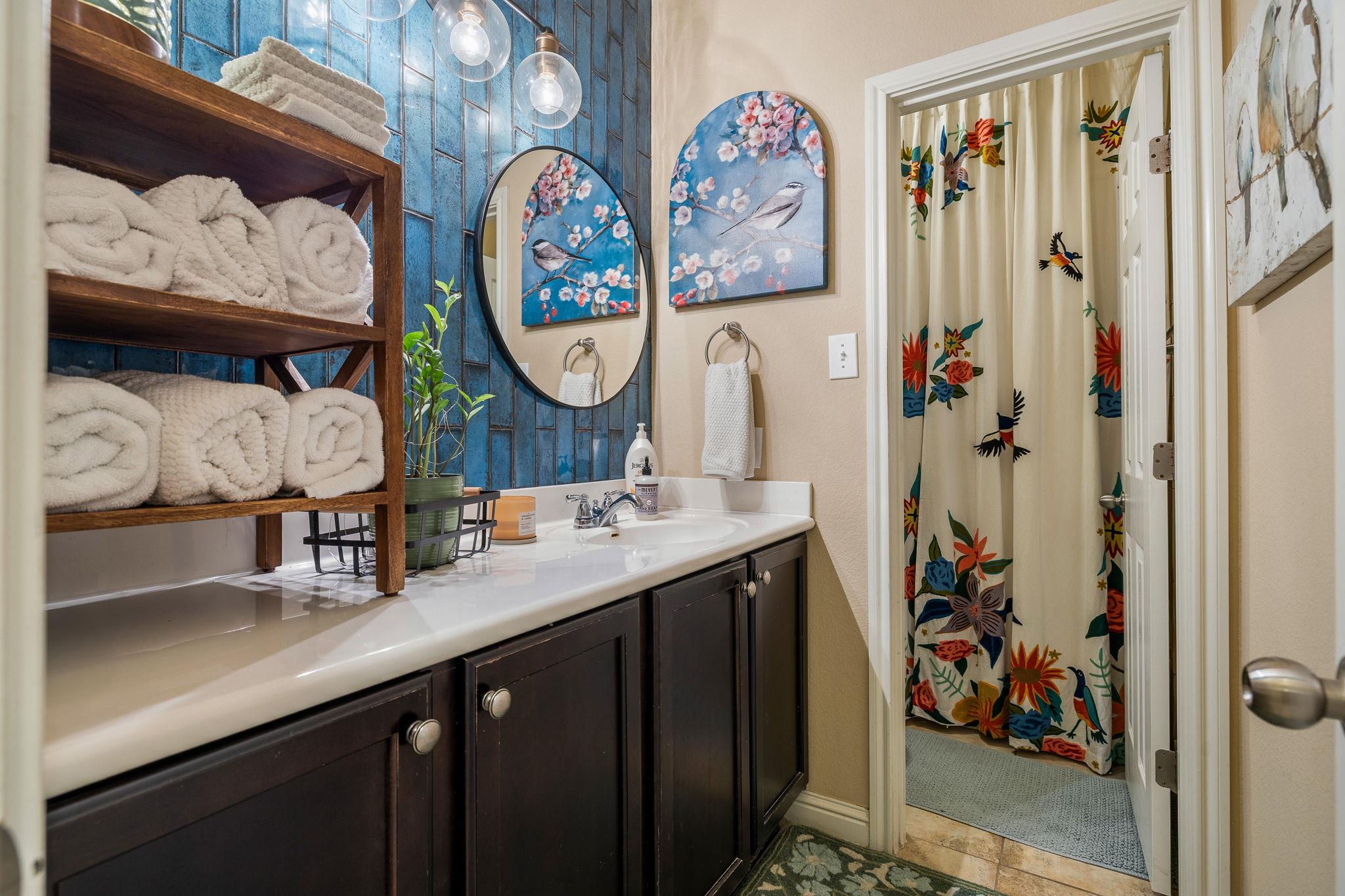 2494 Santa Barbara Loop, Round Rock, TX 78665