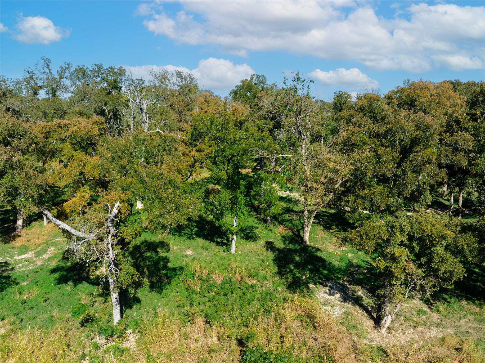 8010 E State Highway 29, Georgetown, TX 78626