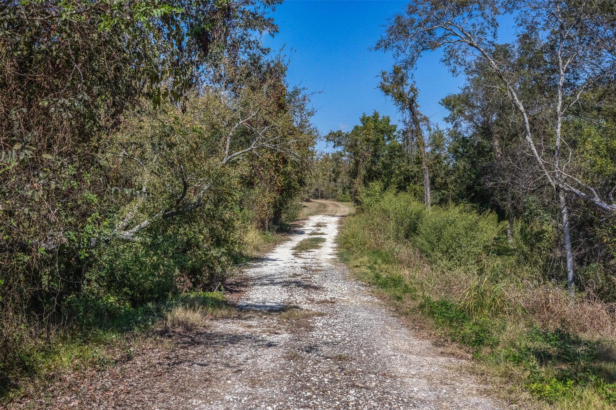 TBD State Highway 21 E (+/- 69.227 ACRES), Midway, TX 75852