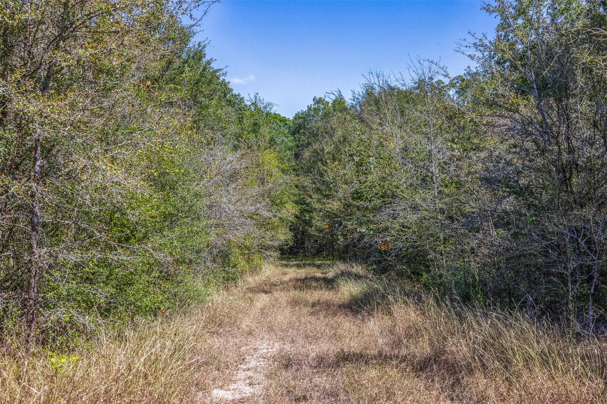 TBD State Highway 21 E (+/- 69.227 ACRES), Midway, TX 75852