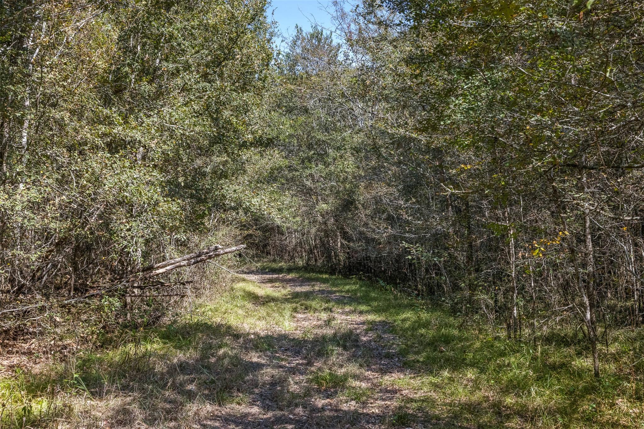 TBD State Highway 21 E (+/- 69.227 ACRES), Midway, TX 75852