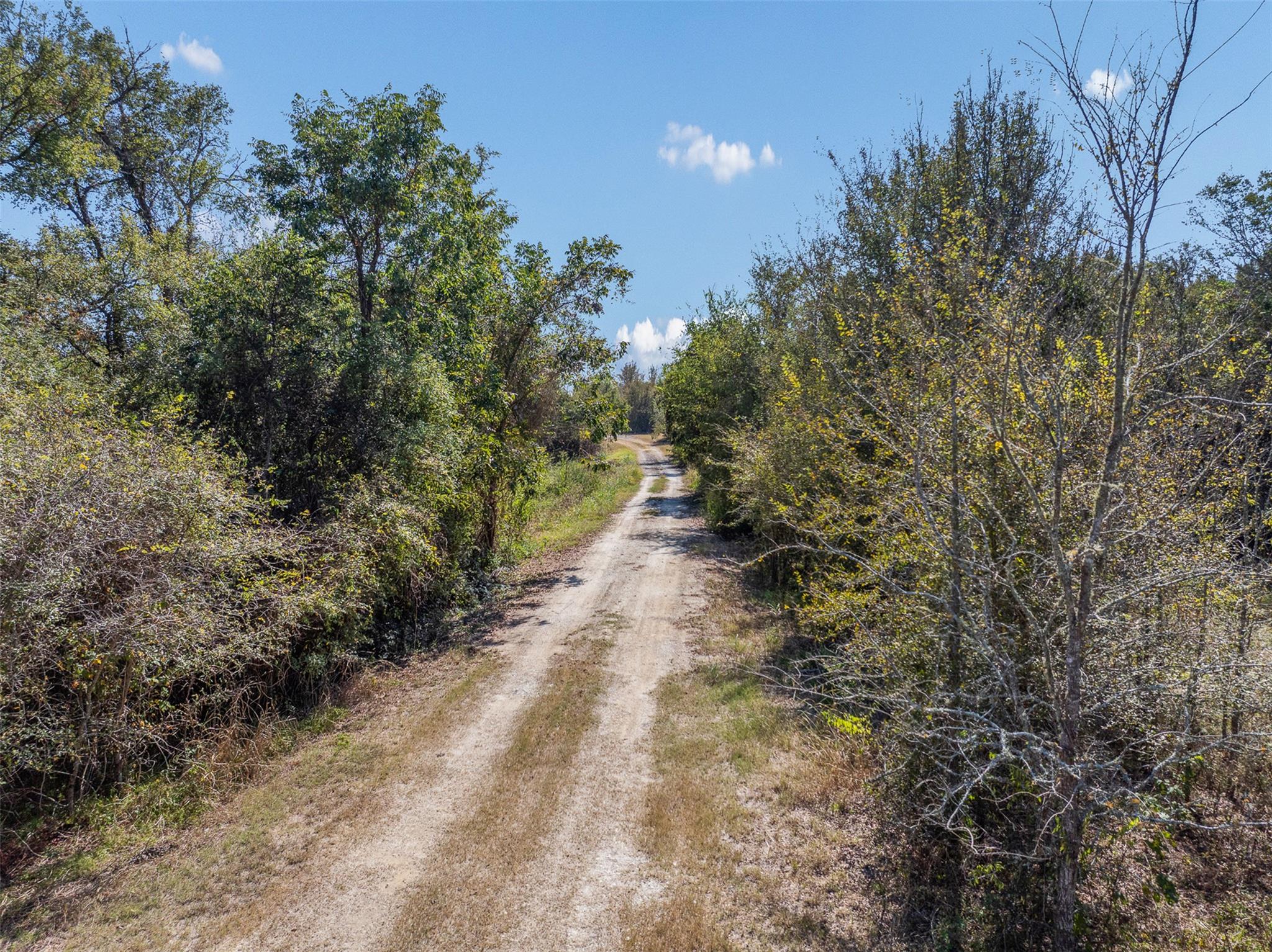 TBD State Highway 21 E (+/- 69.227 ACRES), Midway, TX 75852
