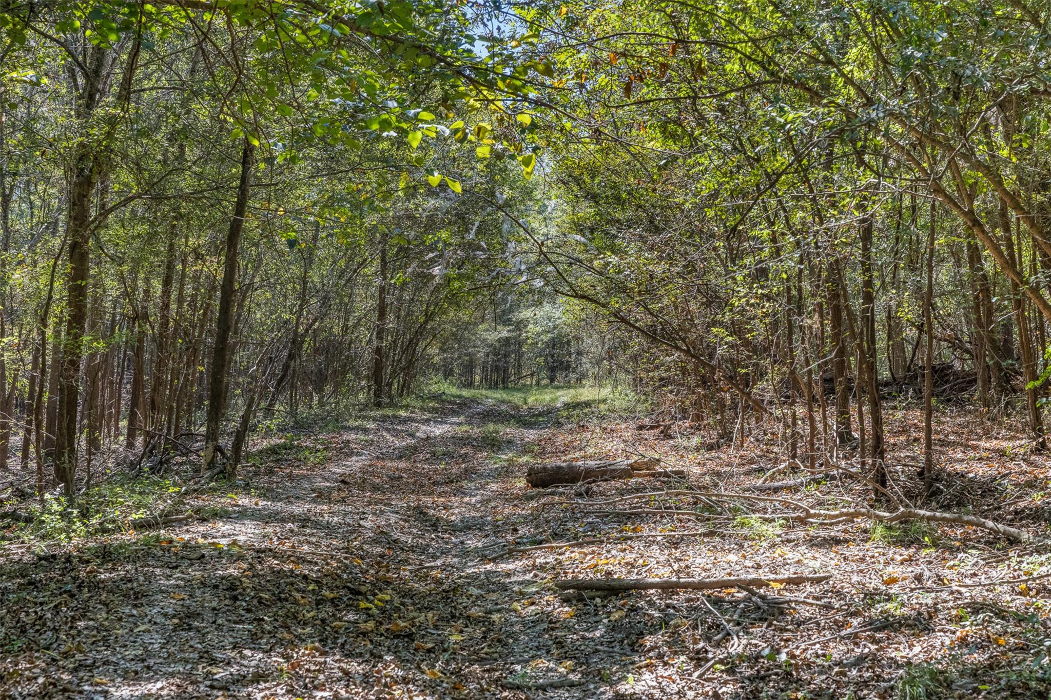 TBD State Highway 21 E (+/- 69.227 ACRES), Midway, TX 75852