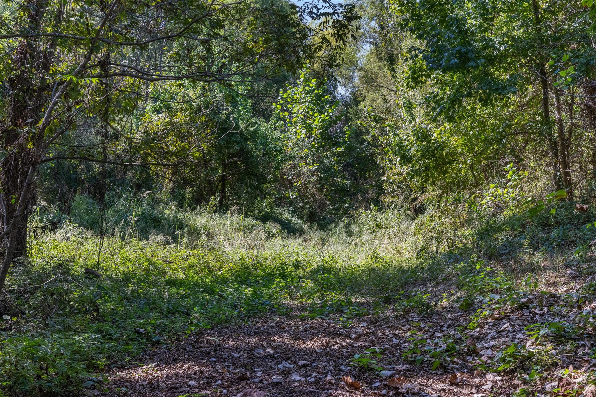 TBD State Highway 21 E (+/- 69.227 ACRES), Midway, TX 75852