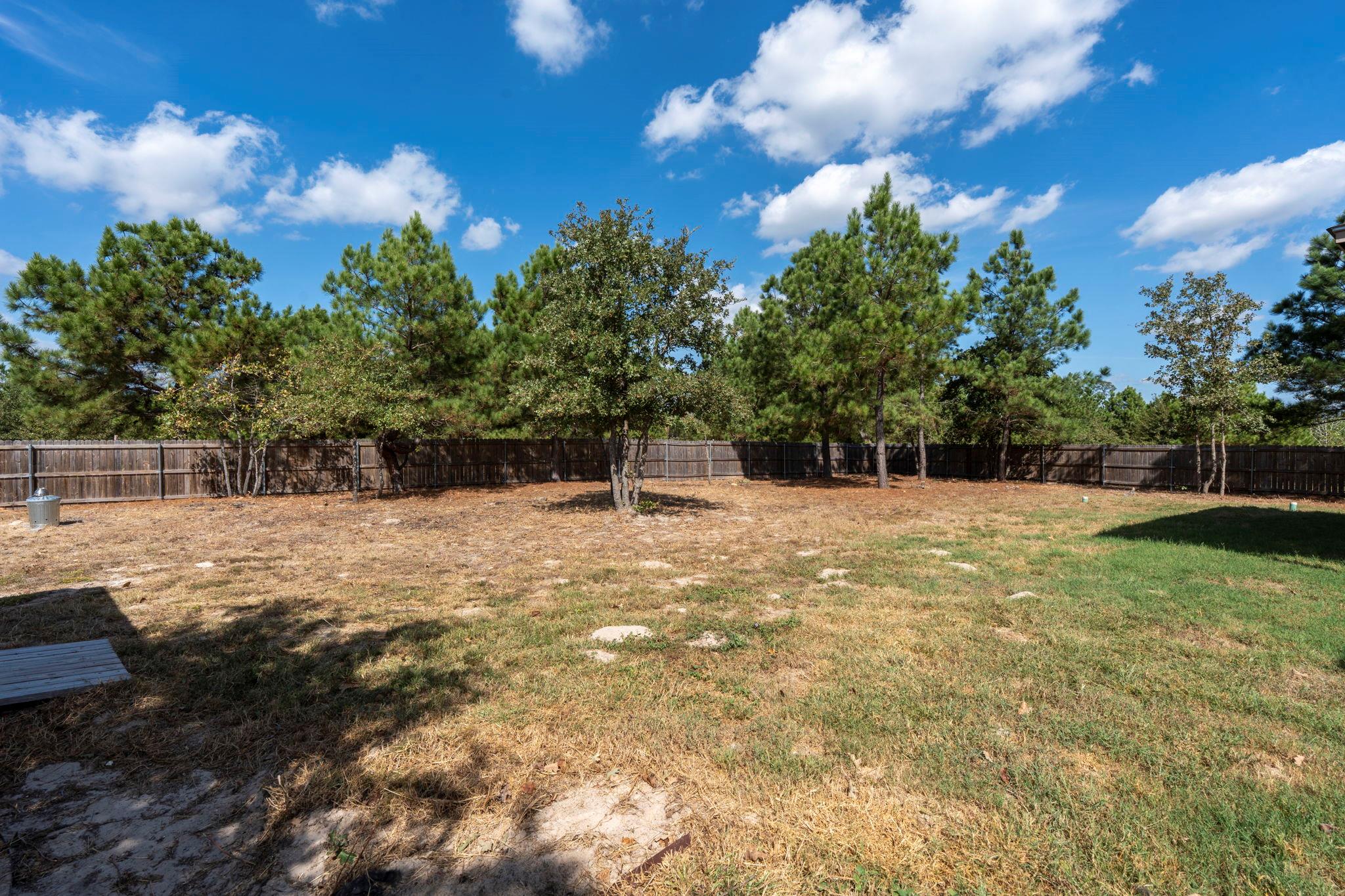203 Cardinal Loop, Paige, TX 78659