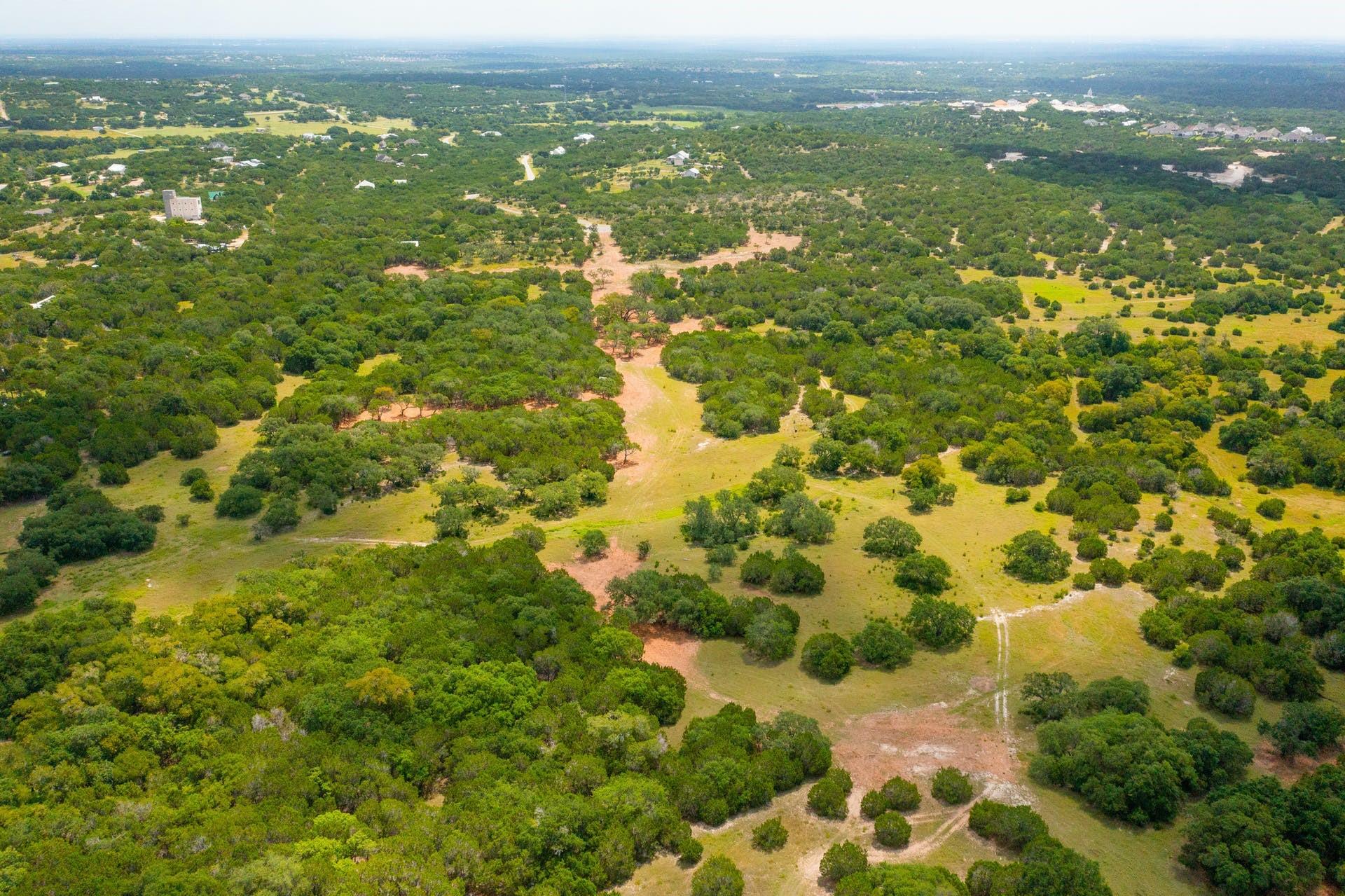 234 Zonetail Cv, Austin, TX 78737