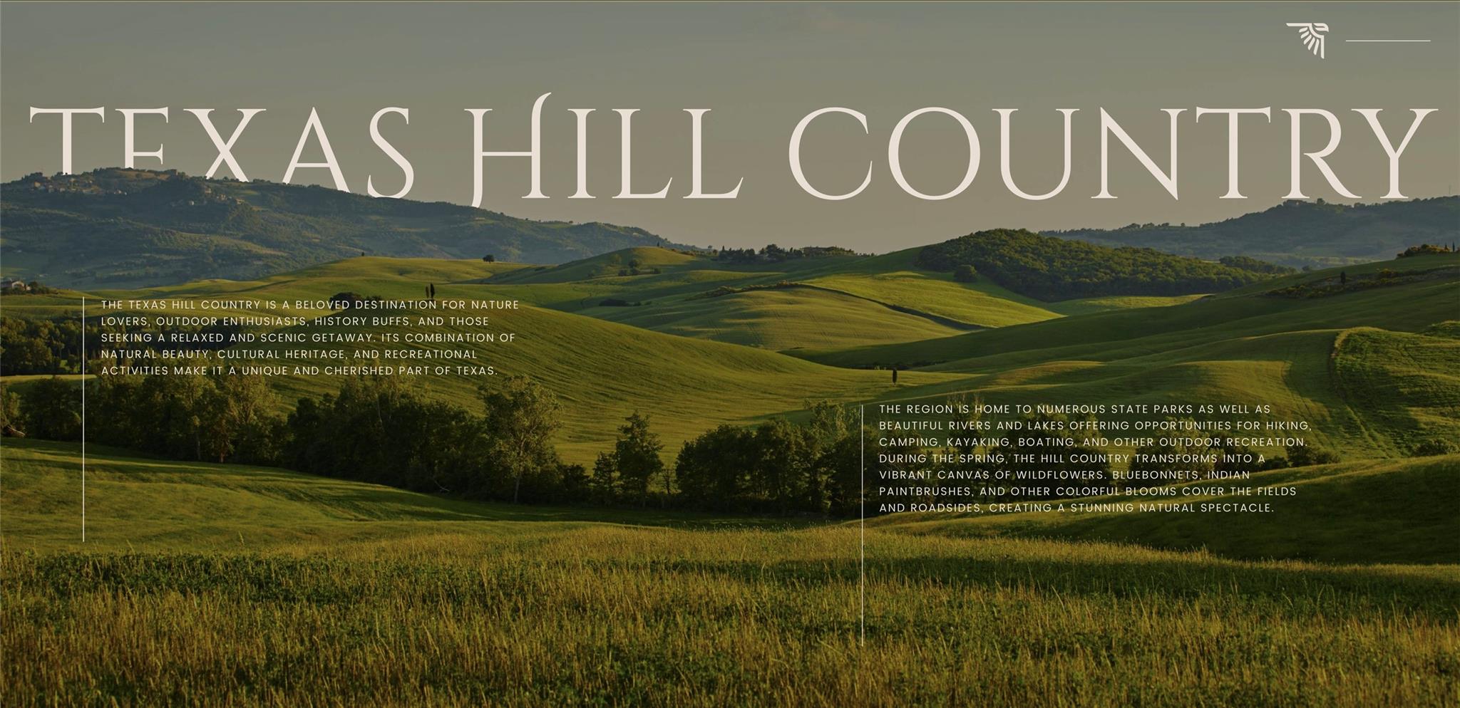 234 Zonetail Cv, Austin, TX 78737