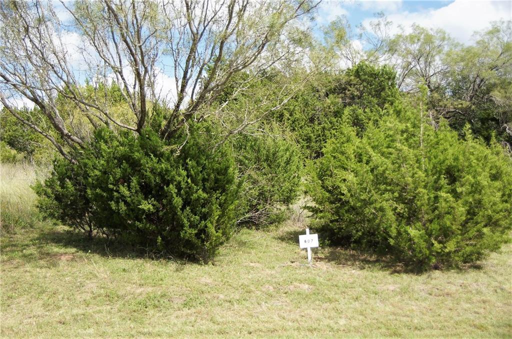 410 Murphy Dr, Bertram, TX 78605