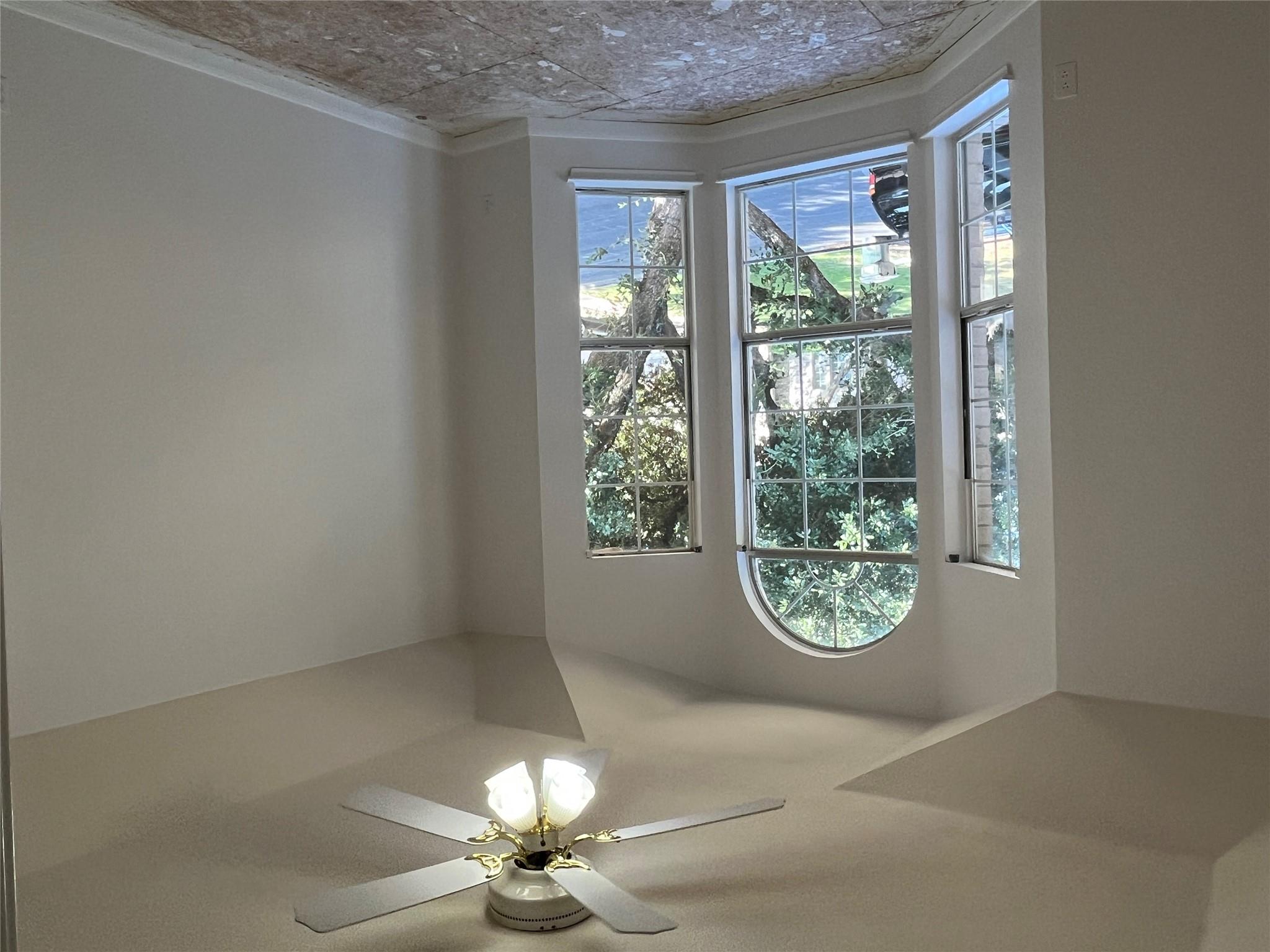 402 Keenland Dr, Georgetown, TX 78626