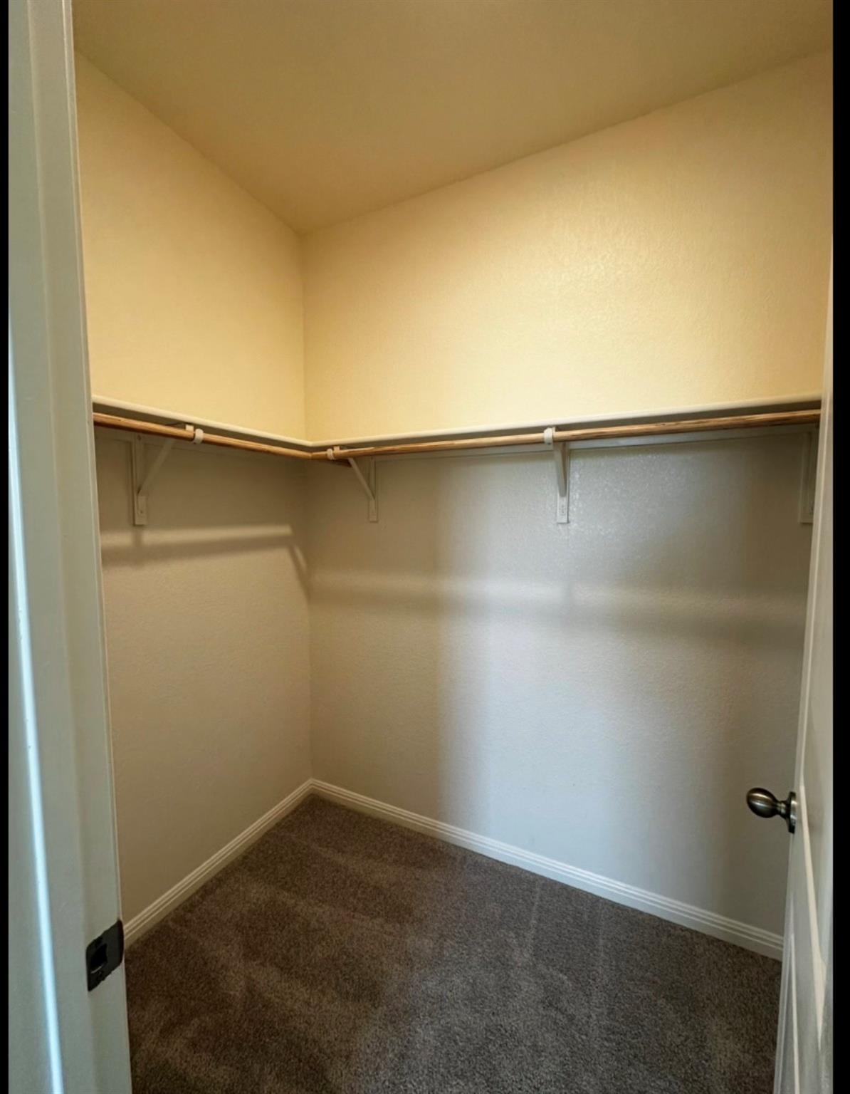 16116 Viburnum Dr, Austin, TX 78725