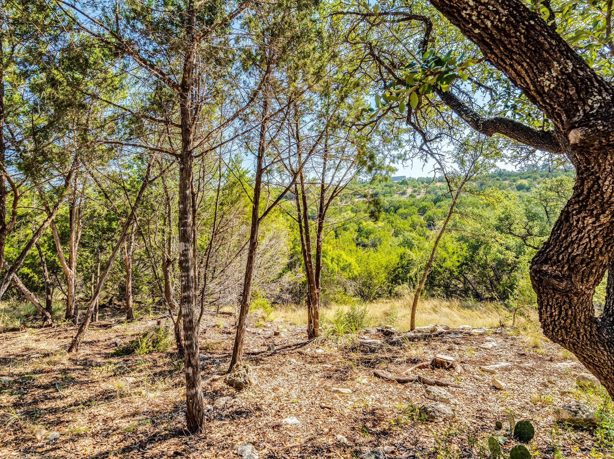 21708 Agarito Ln, Spicewood, TX 78669