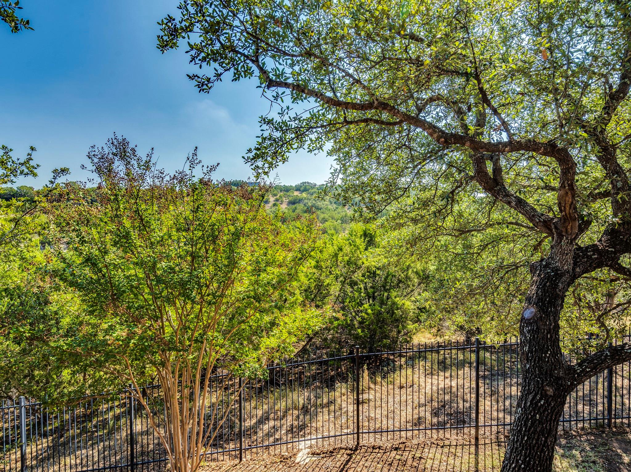 21708 Agarito Ln, Spicewood, TX 78669