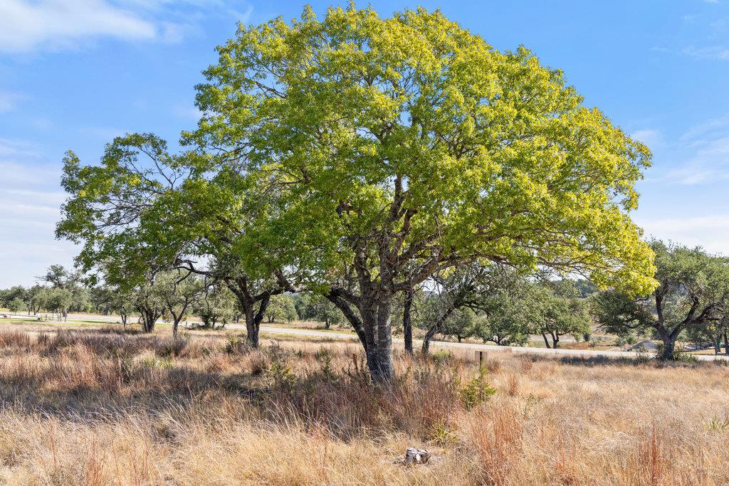 2058 Legacy Hills Dr, Johnson City, TX 78636