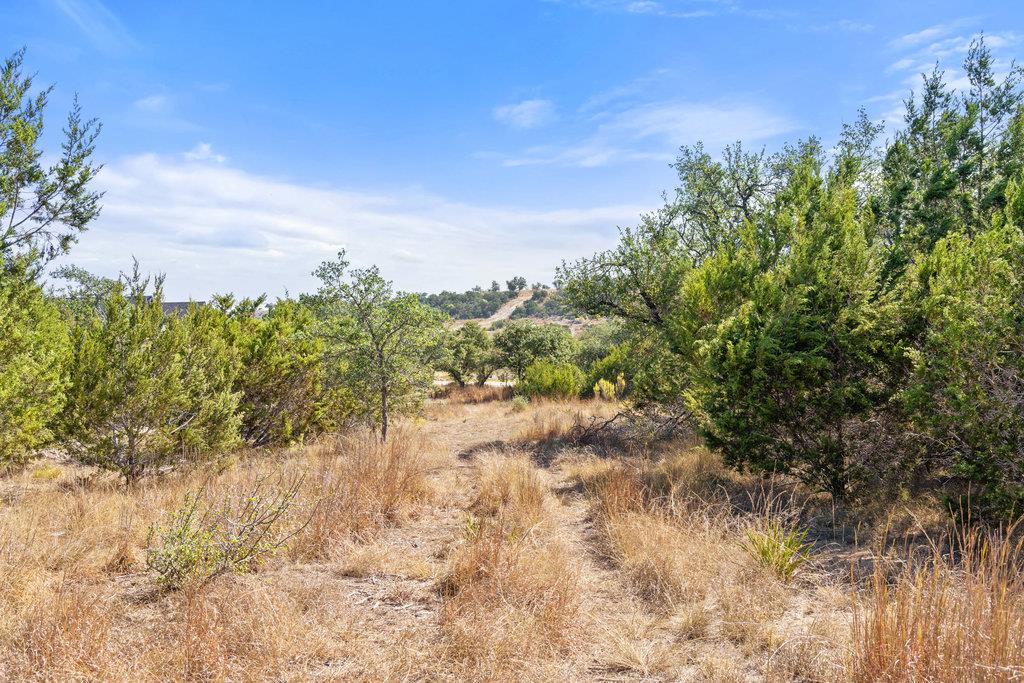 2058 Legacy Hills Dr, Johnson City, TX 78636